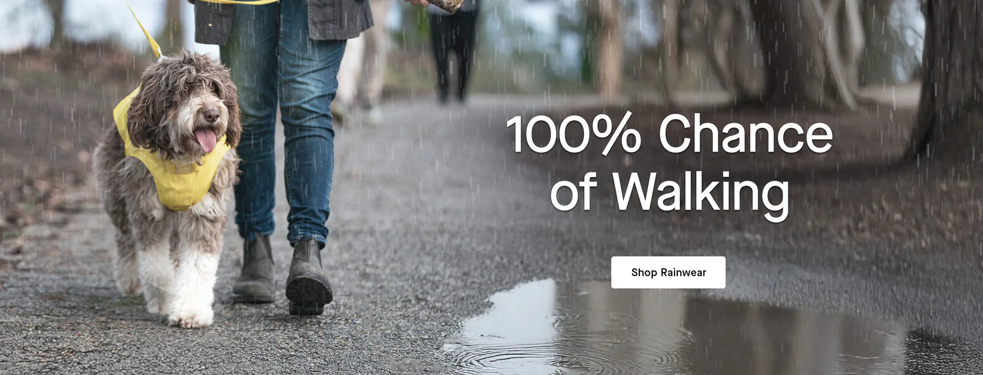 Welcome to Our Store