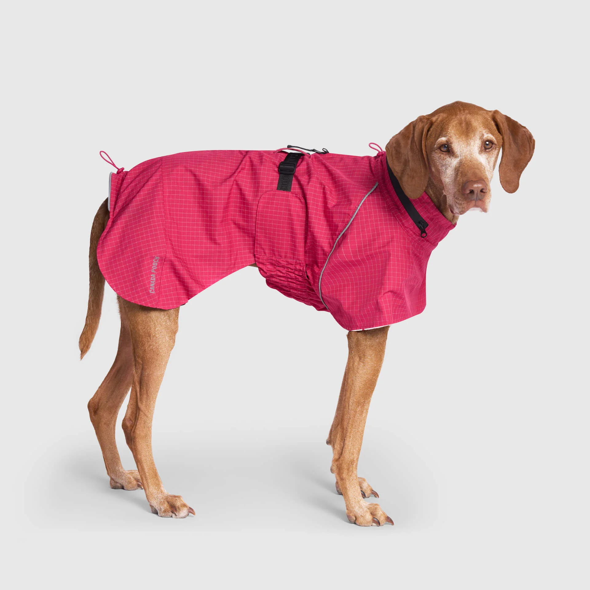 Complete Coverage Raincoat - Image 11