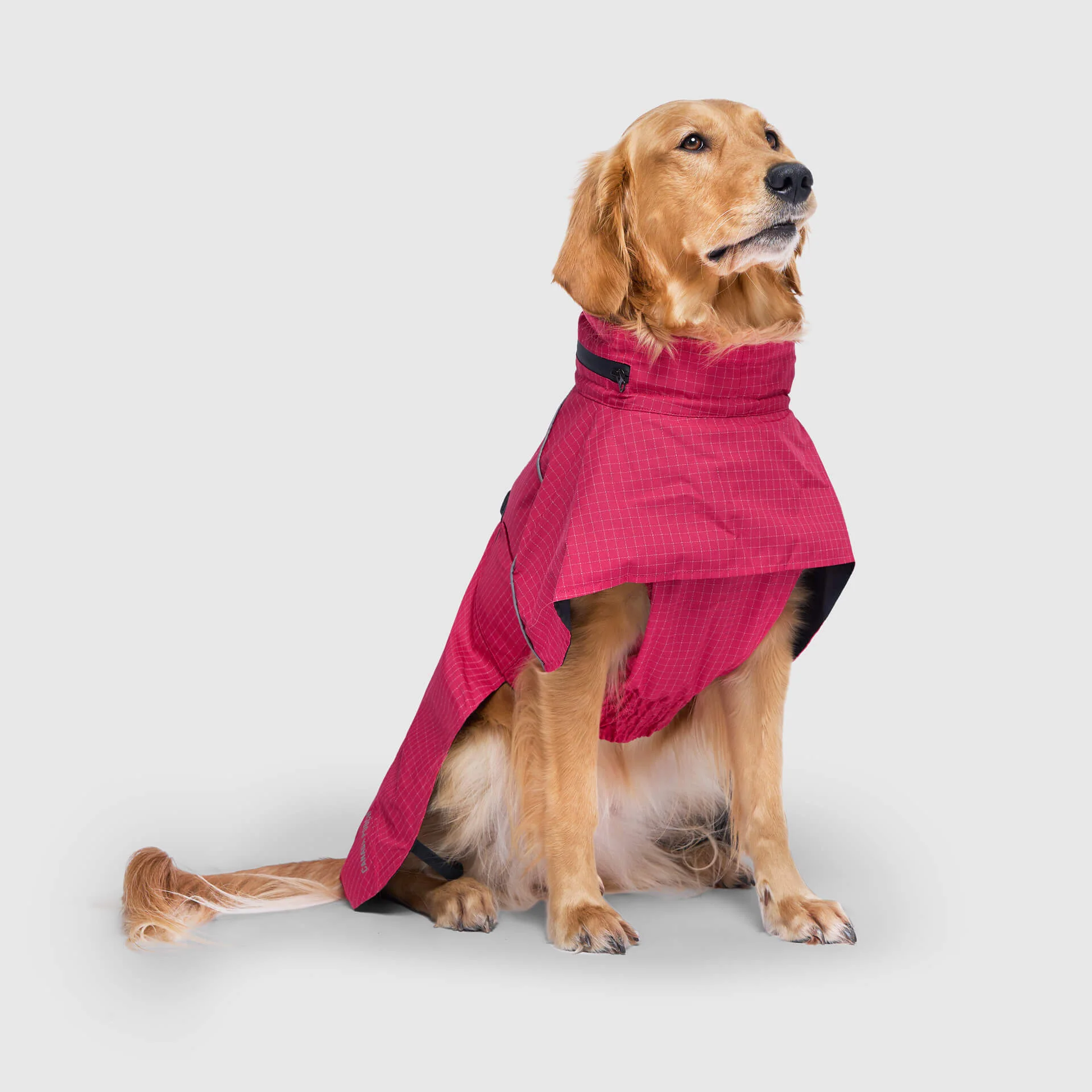 Complete Coverage Raincoat - Image 12