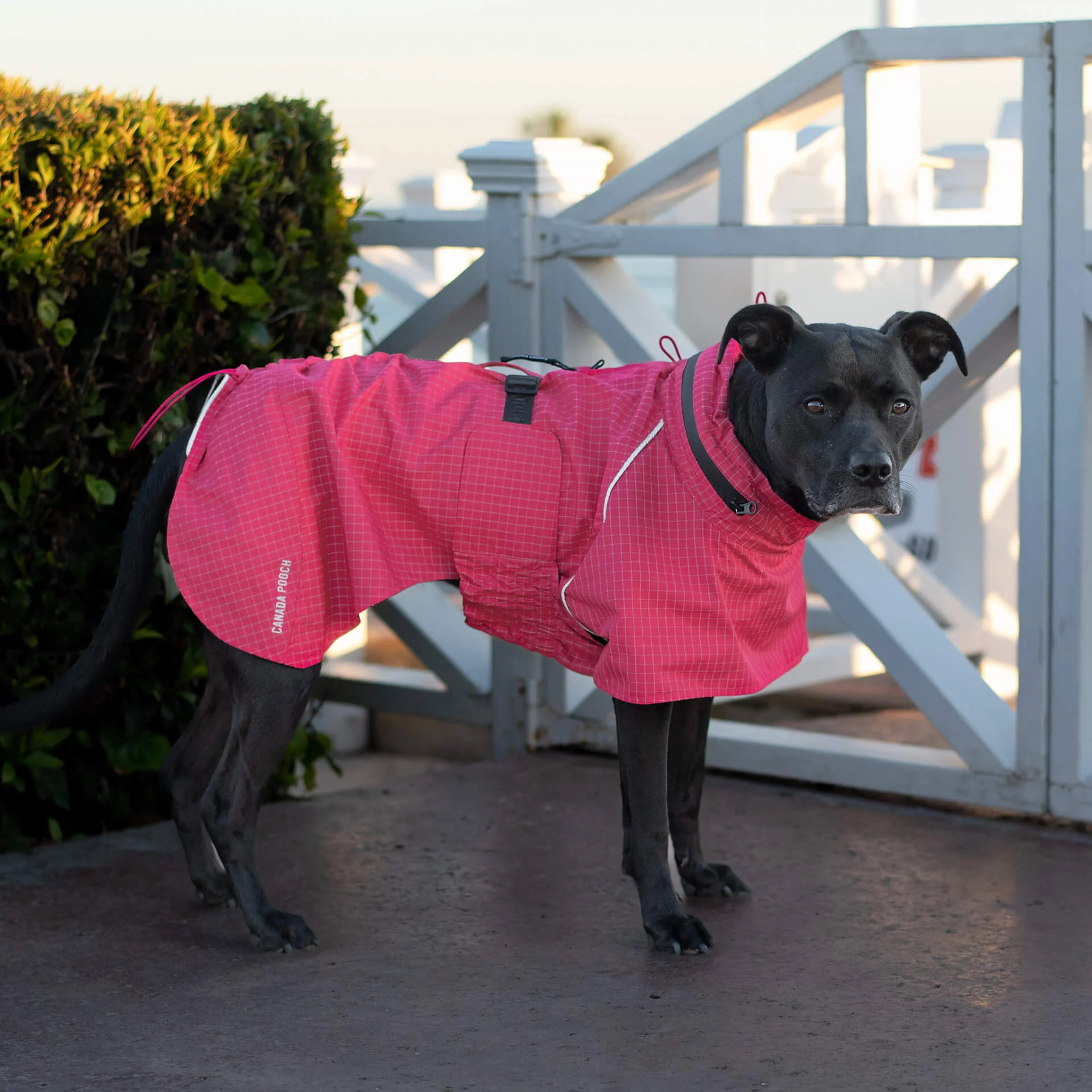 Complete Coverage Raincoat - Image 15