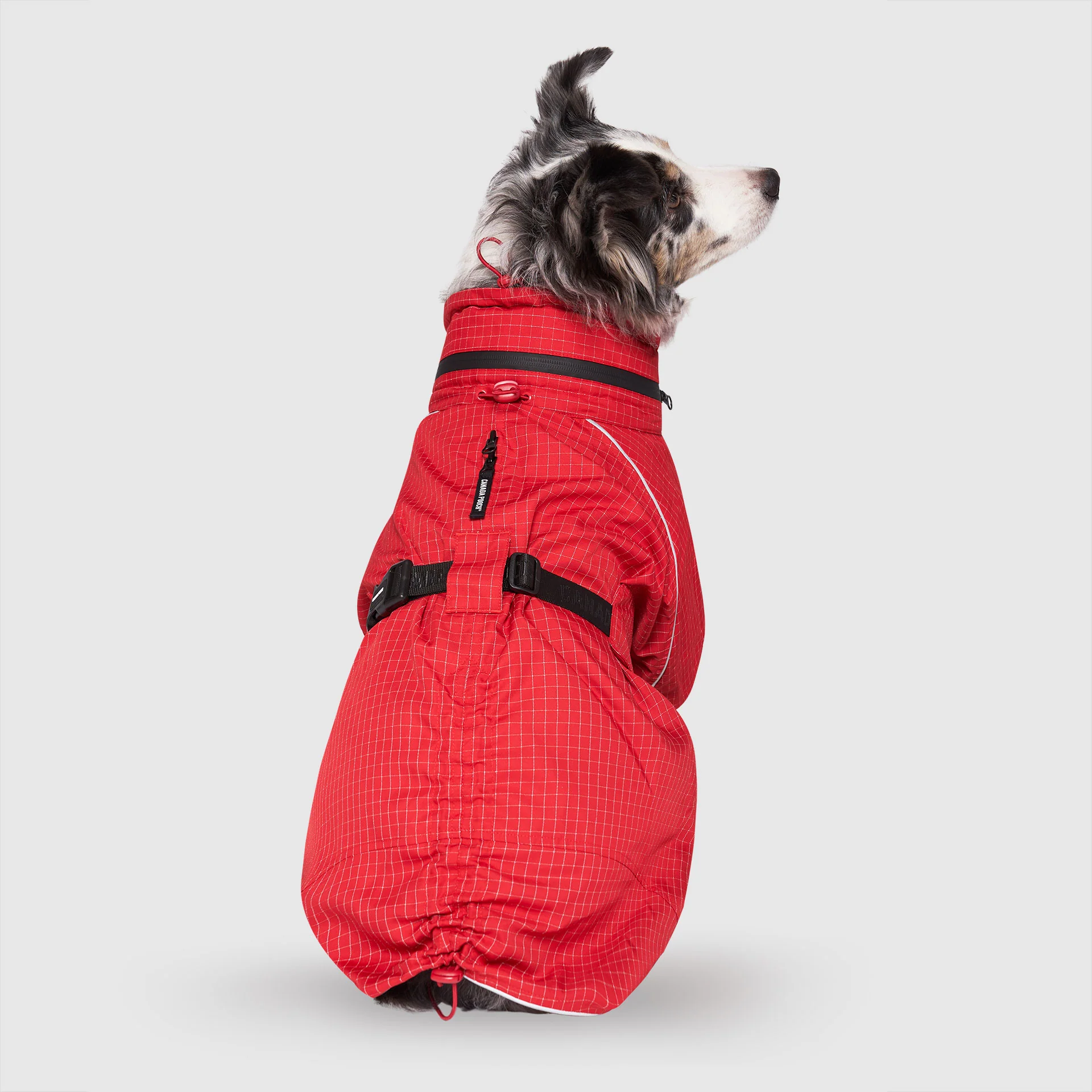 Complete Coverage Raincoat - Image 3