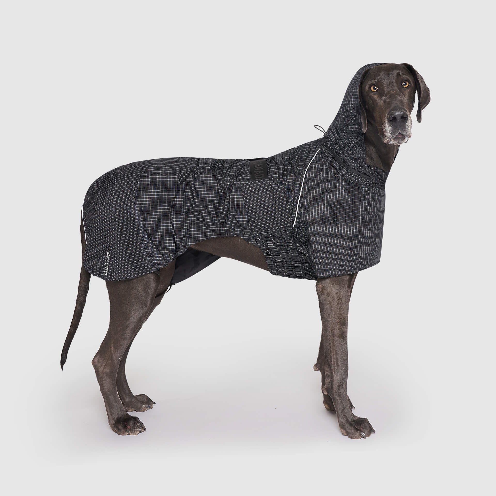 Complete Coverage Raincoat - Image 6