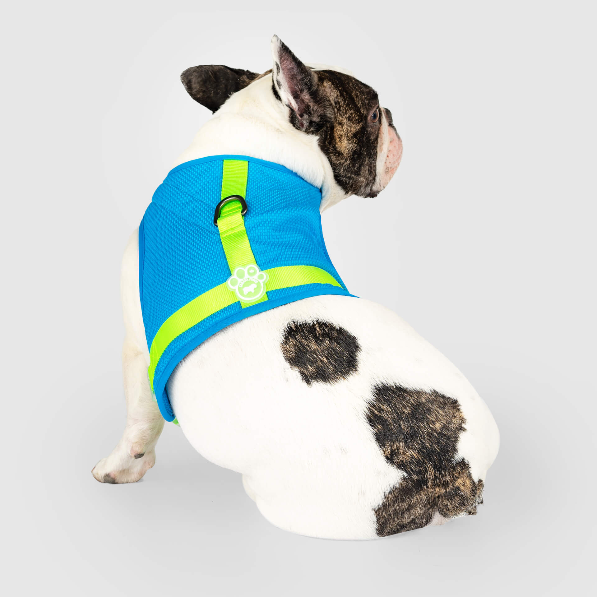 Chill Seeker Cooling Harness - Image 3