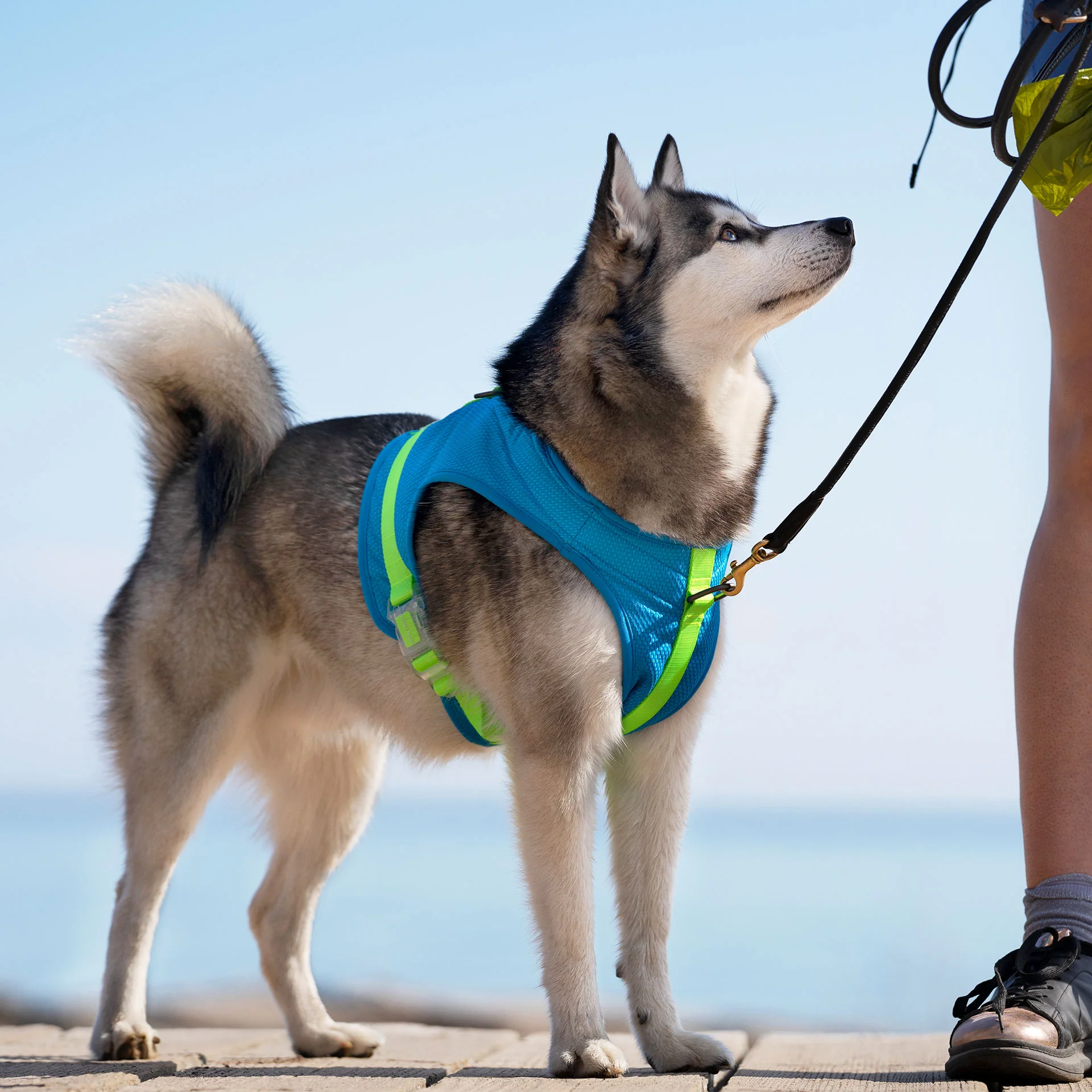 Chill Seeker Cooling Harness - Image 4