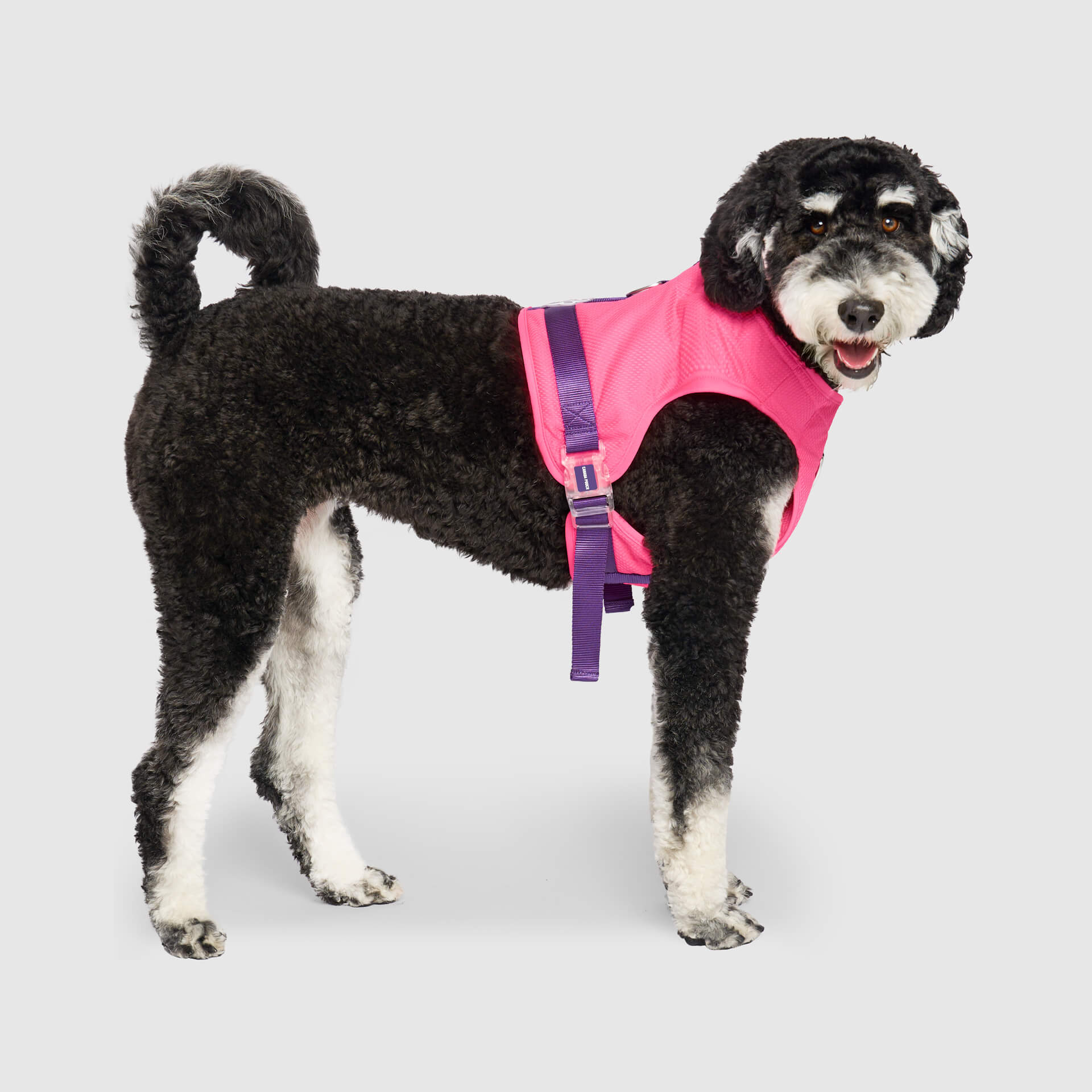 Chill Seeker Cooling Harness - Image 6