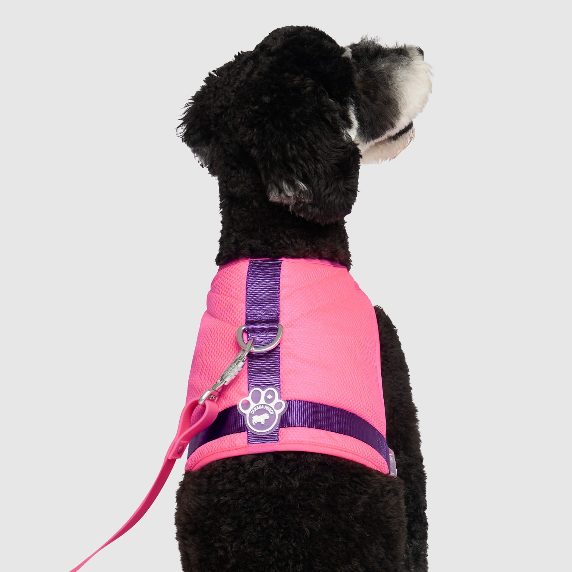 Chill Seeker Cooling Harness - Image 7