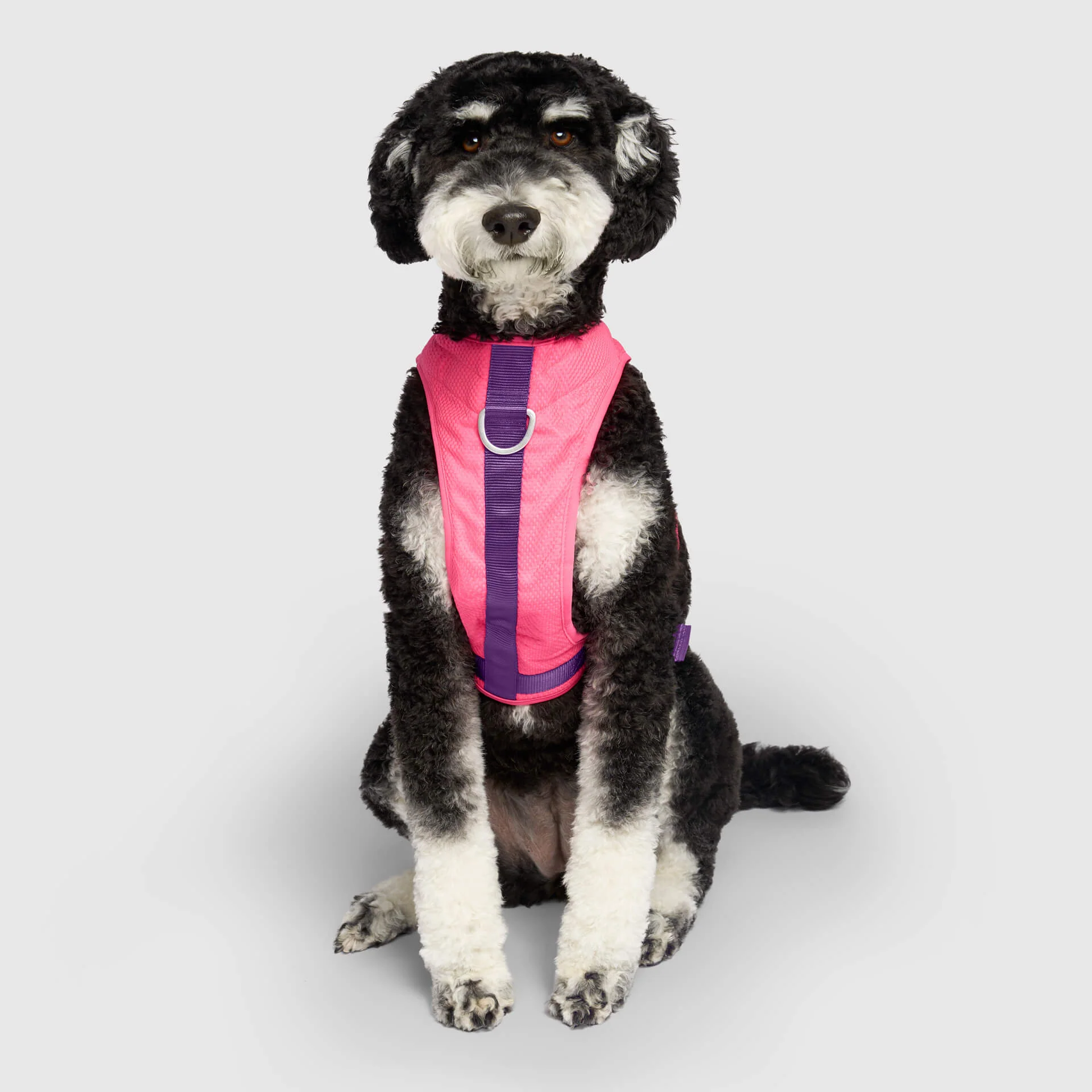 Chill Seeker Cooling Harness - Image 8