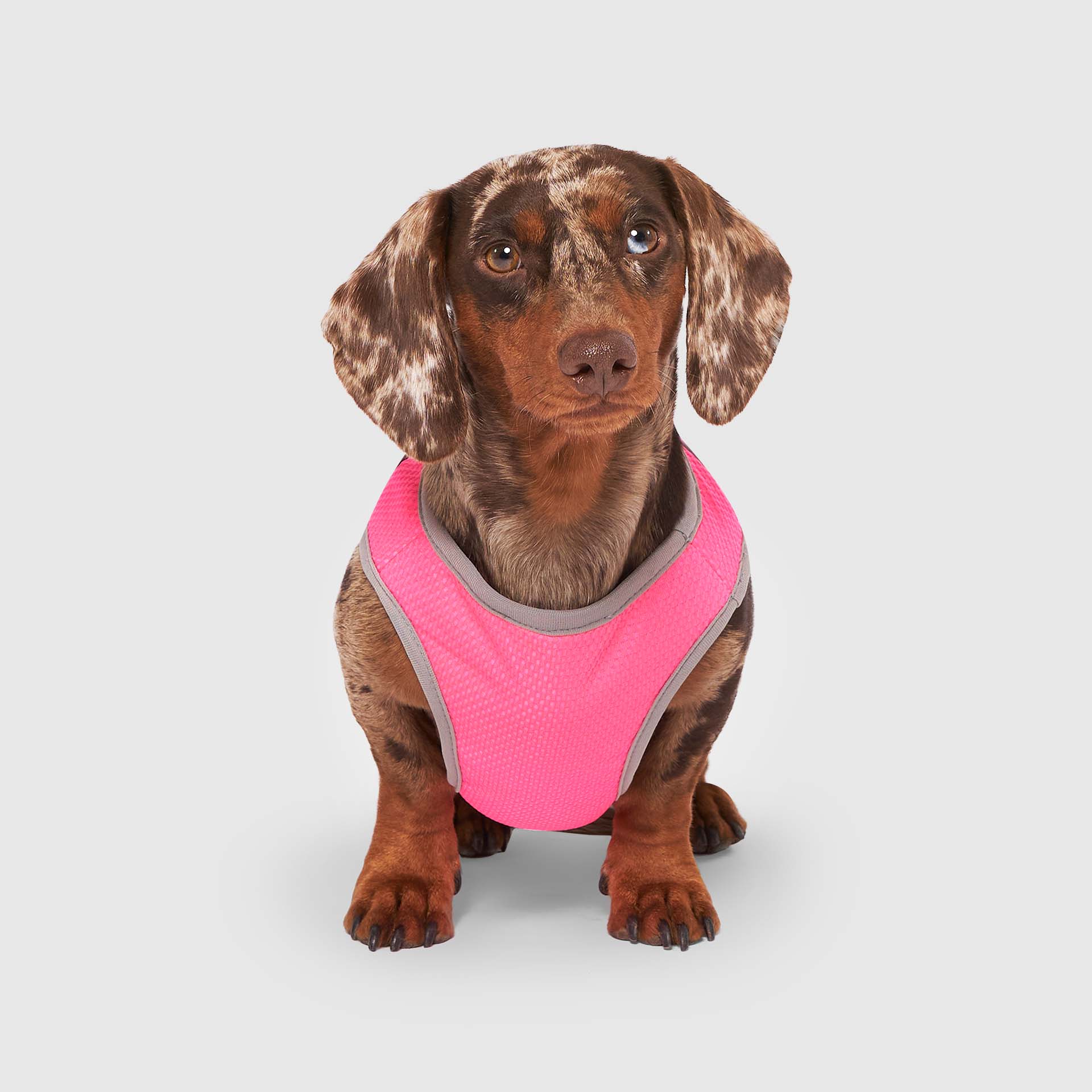 Chill Seeker Cooling Vest - Image 21