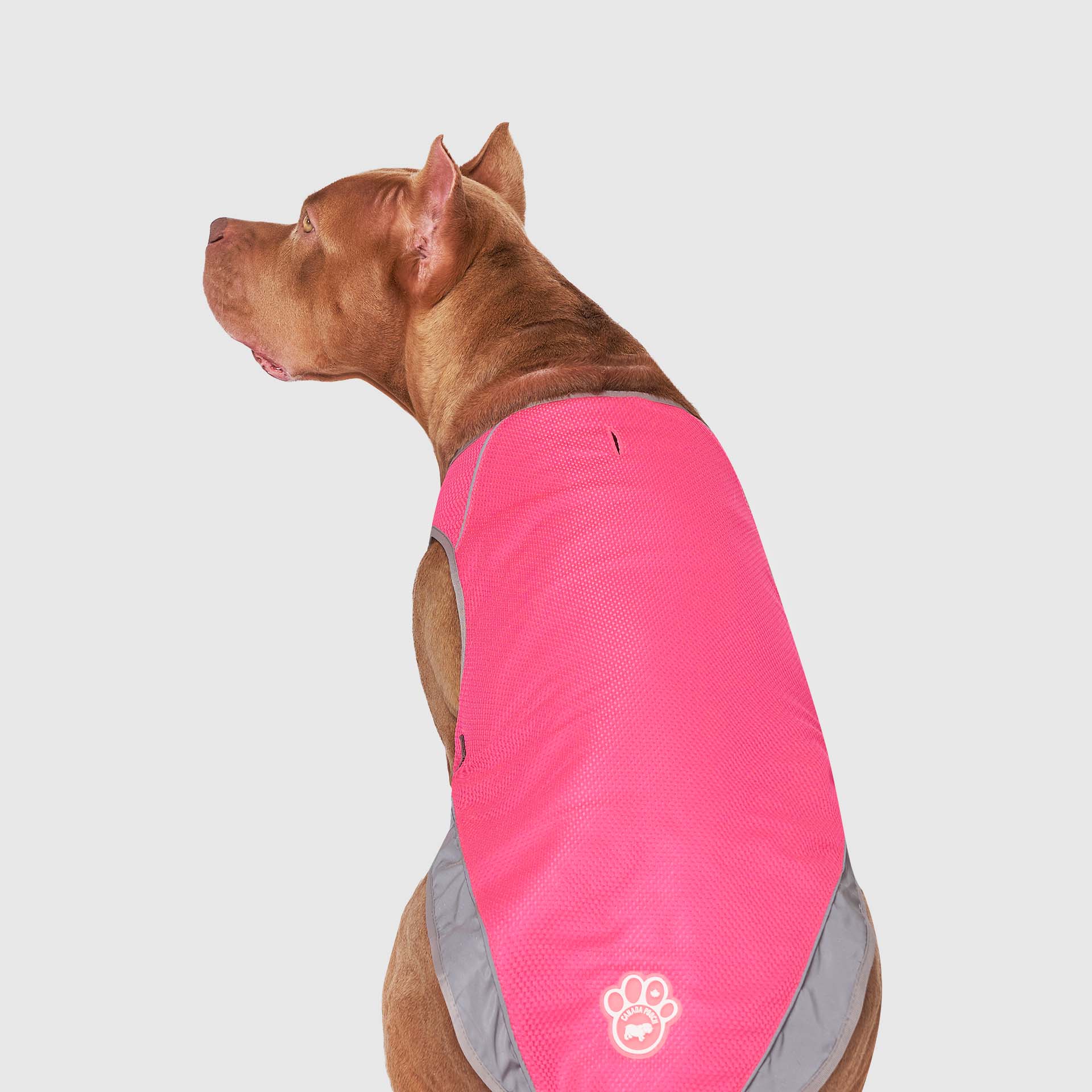 Chill Seeker Cooling Vest - Image 22