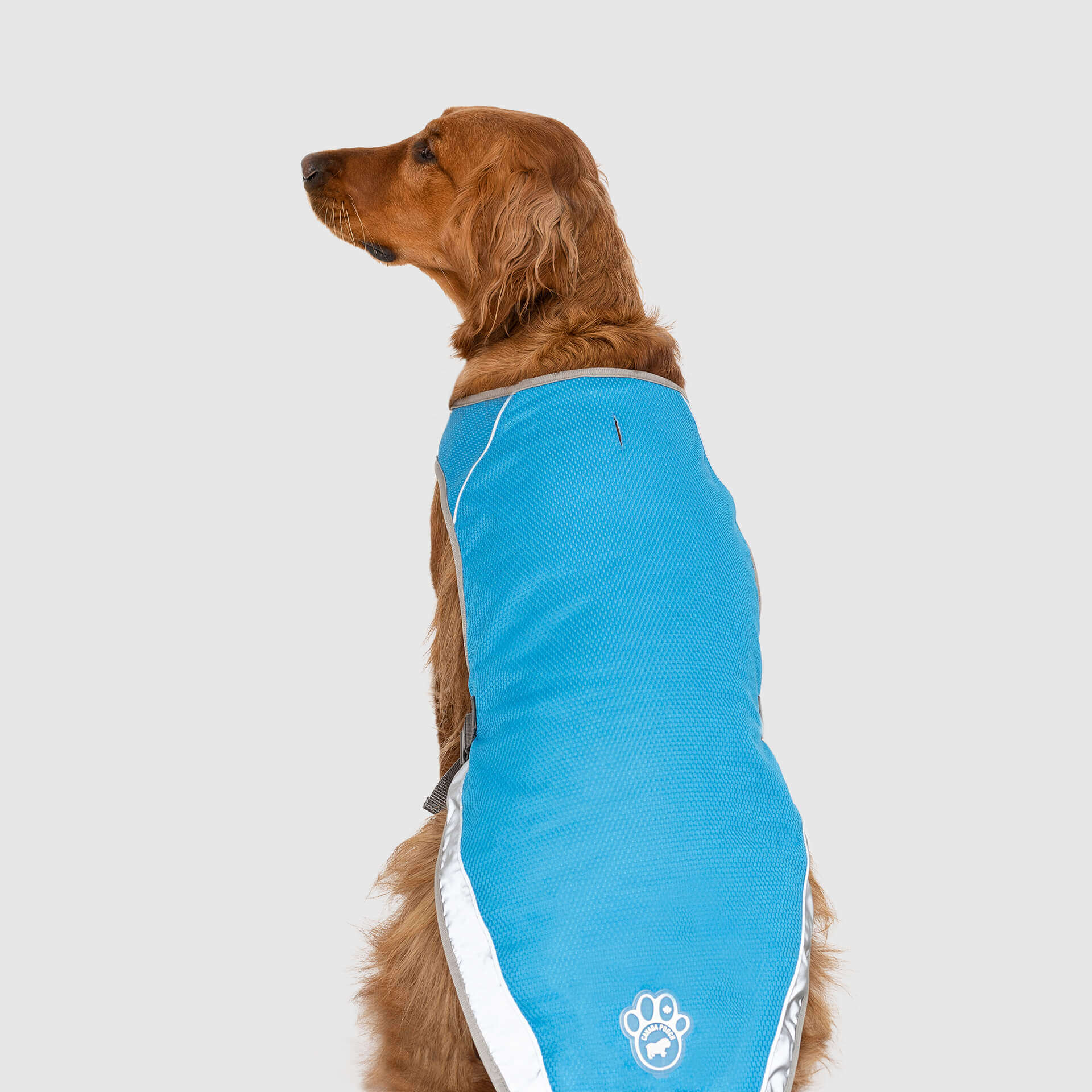 Chill Seeker Cooling Vest - Image 3