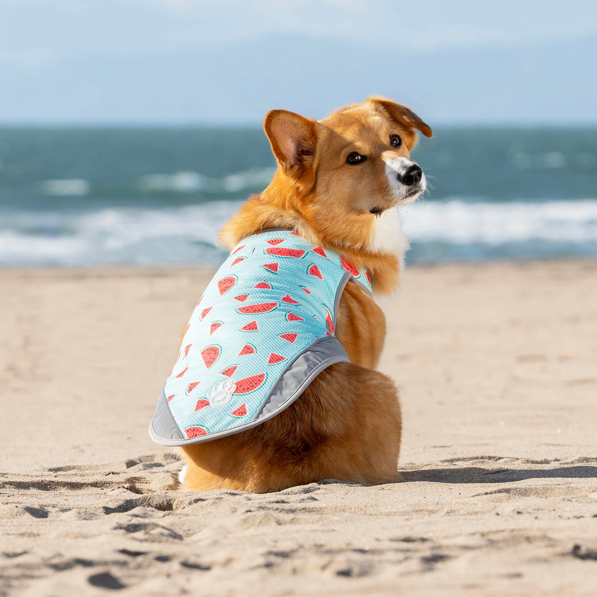 Chill Seeker Cooling Vest - Image 35