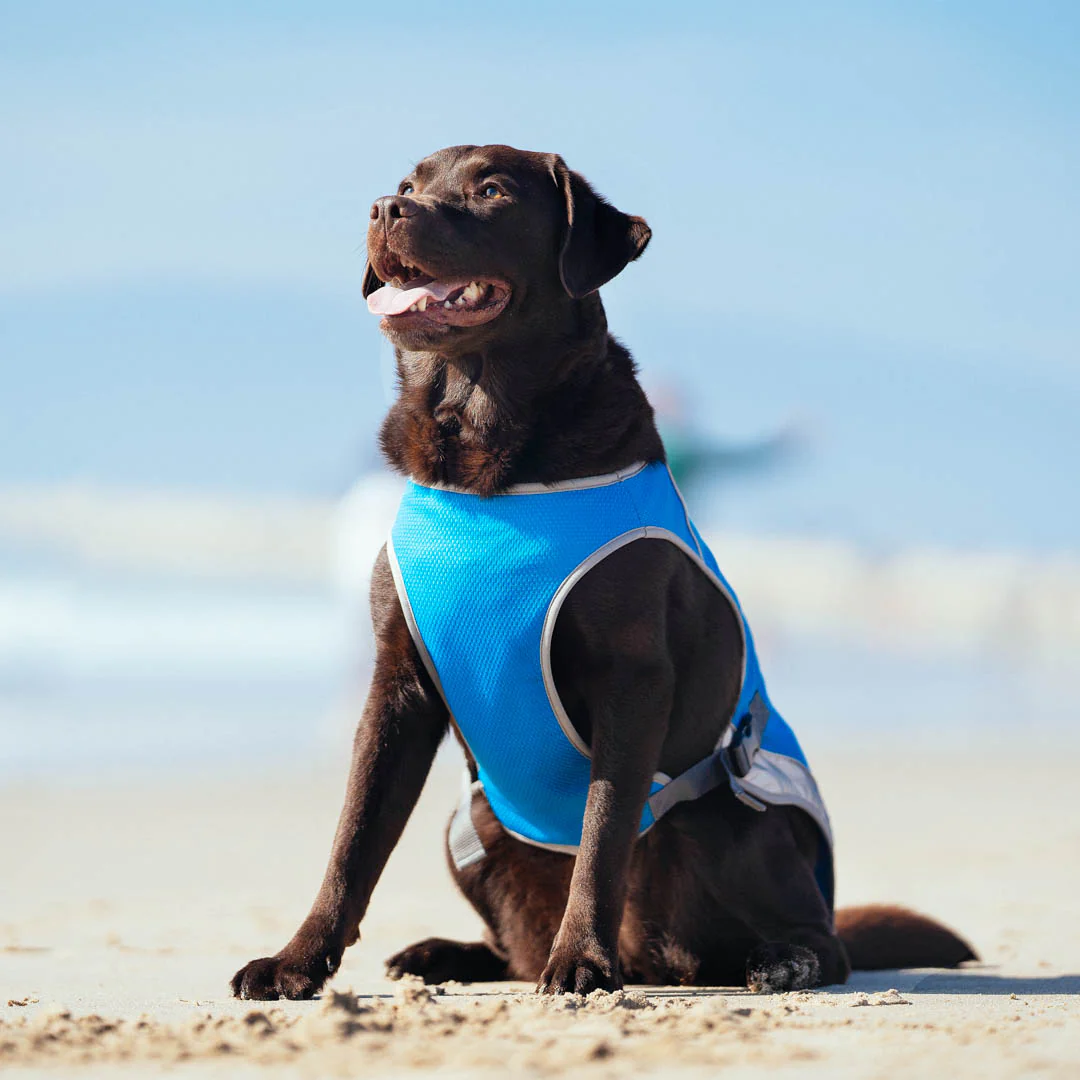 Chill Seeker Cooling Vest - Image 5