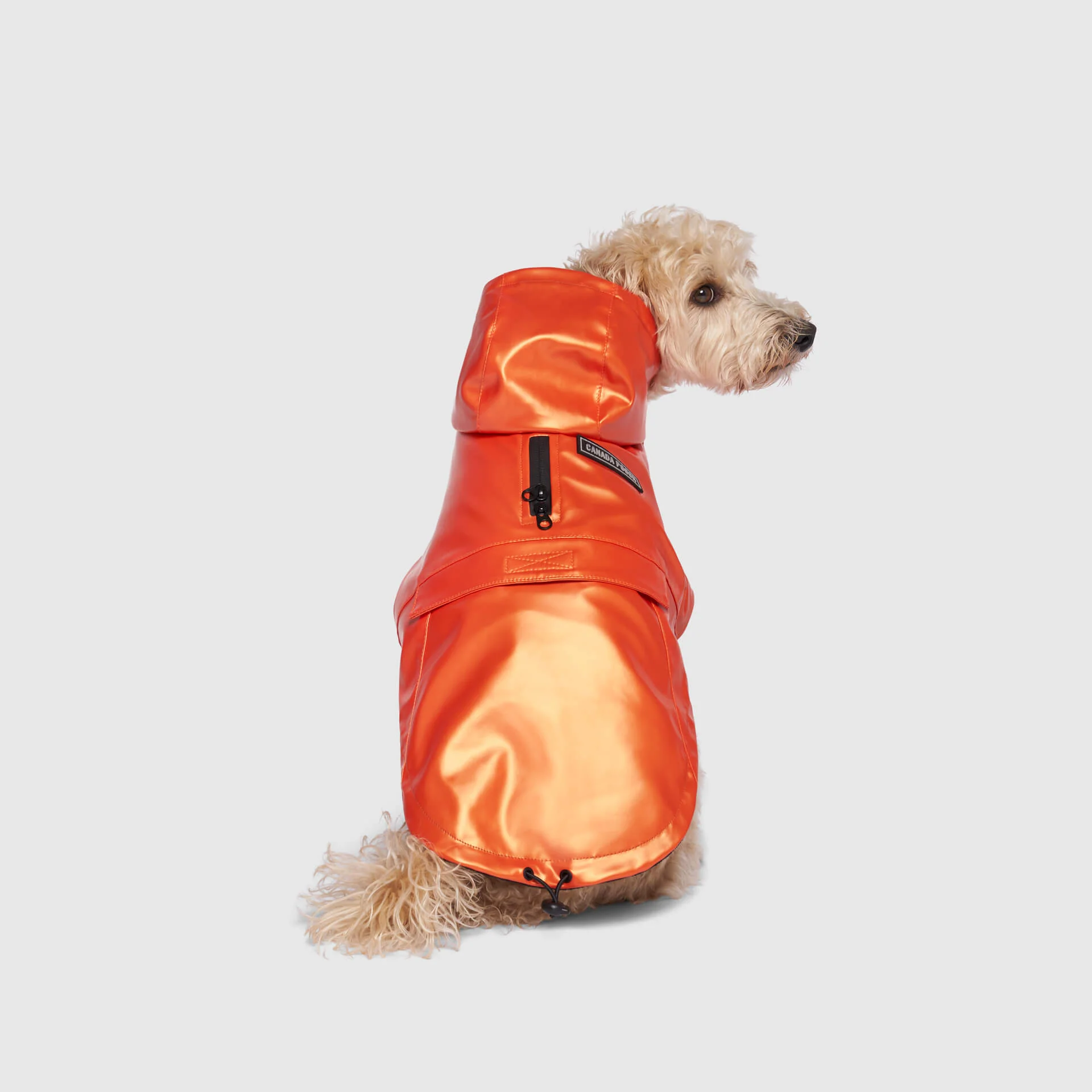 Cold Front Raincoat - Image 3