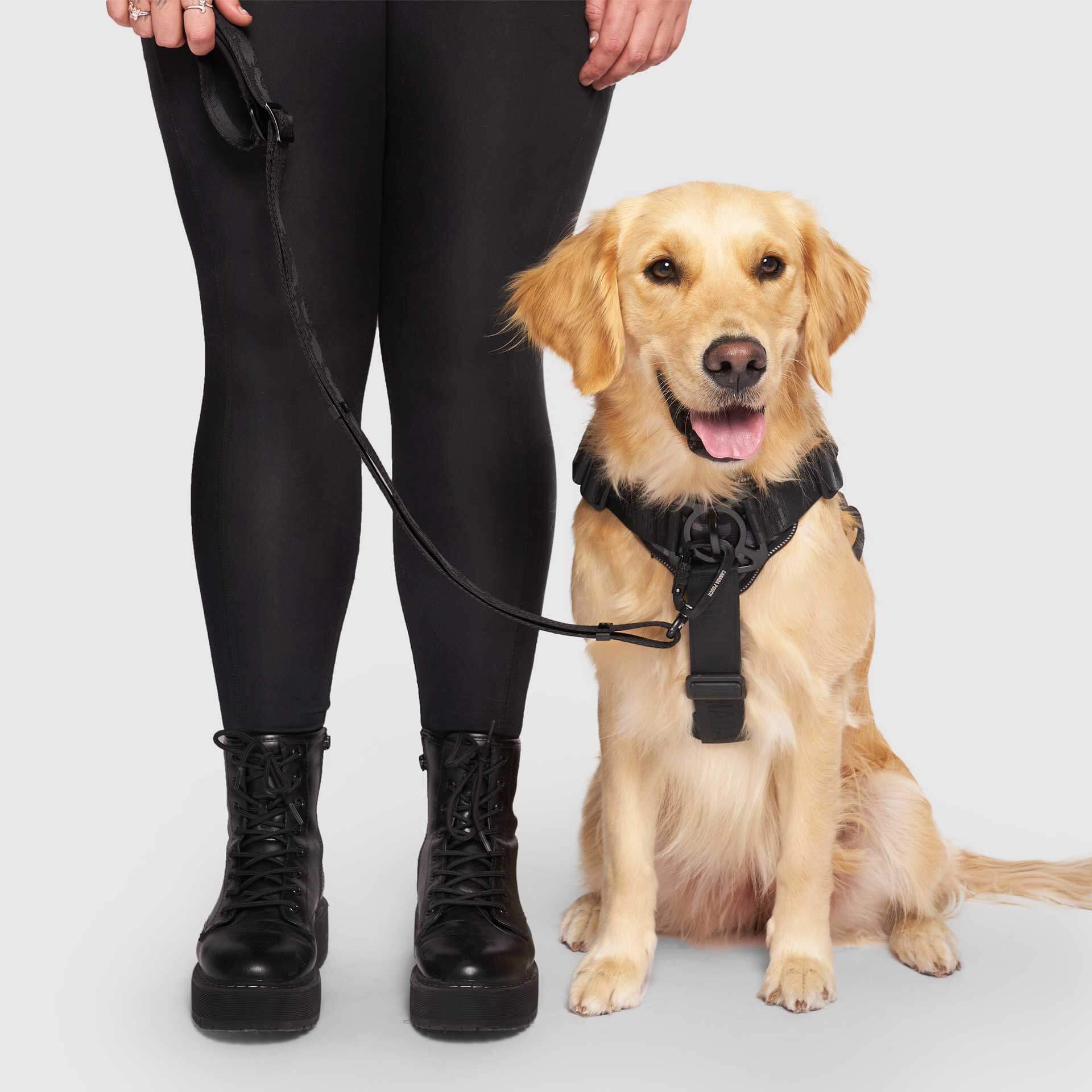 Complete Control Harness - Image 16