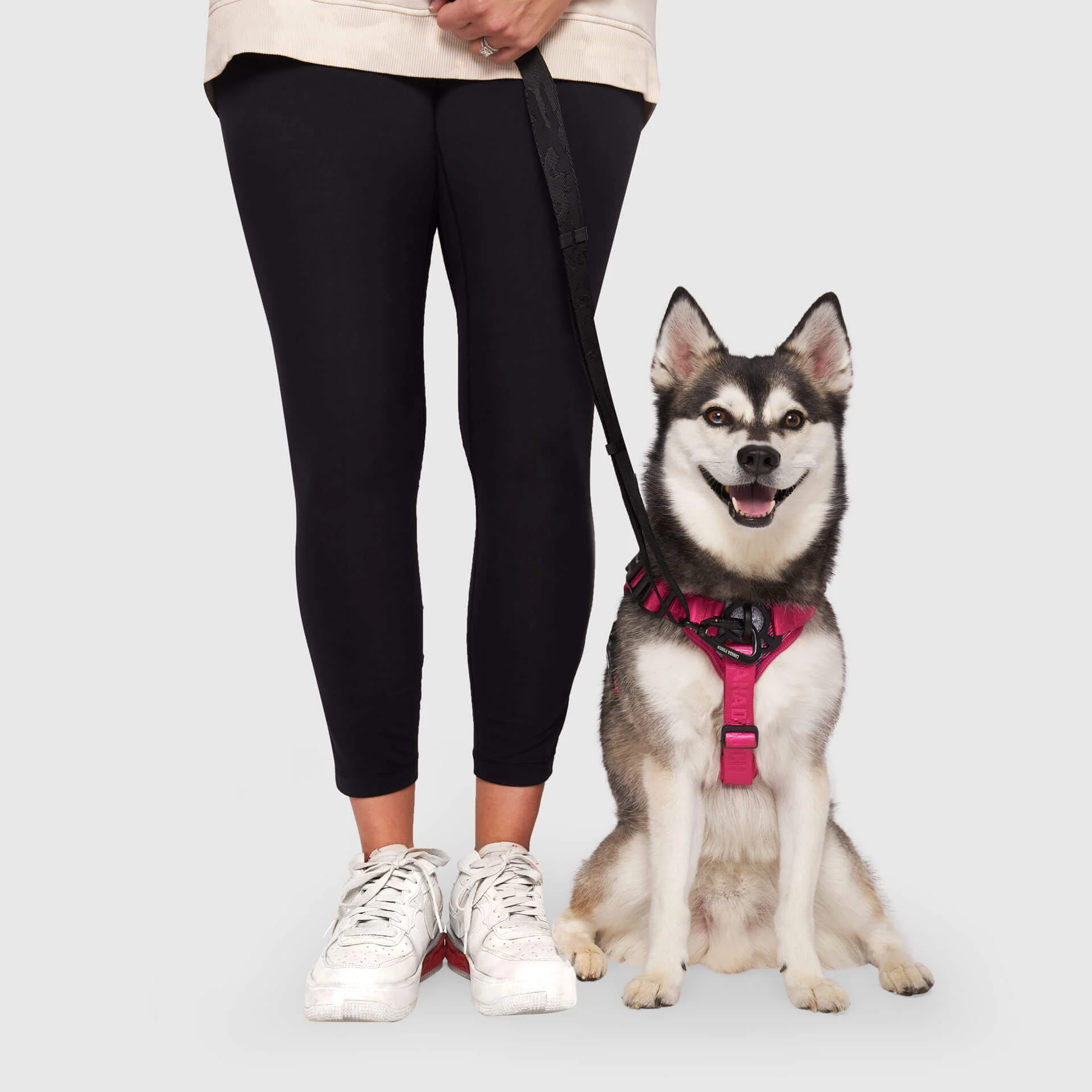 Complete Control Harness - Image 25