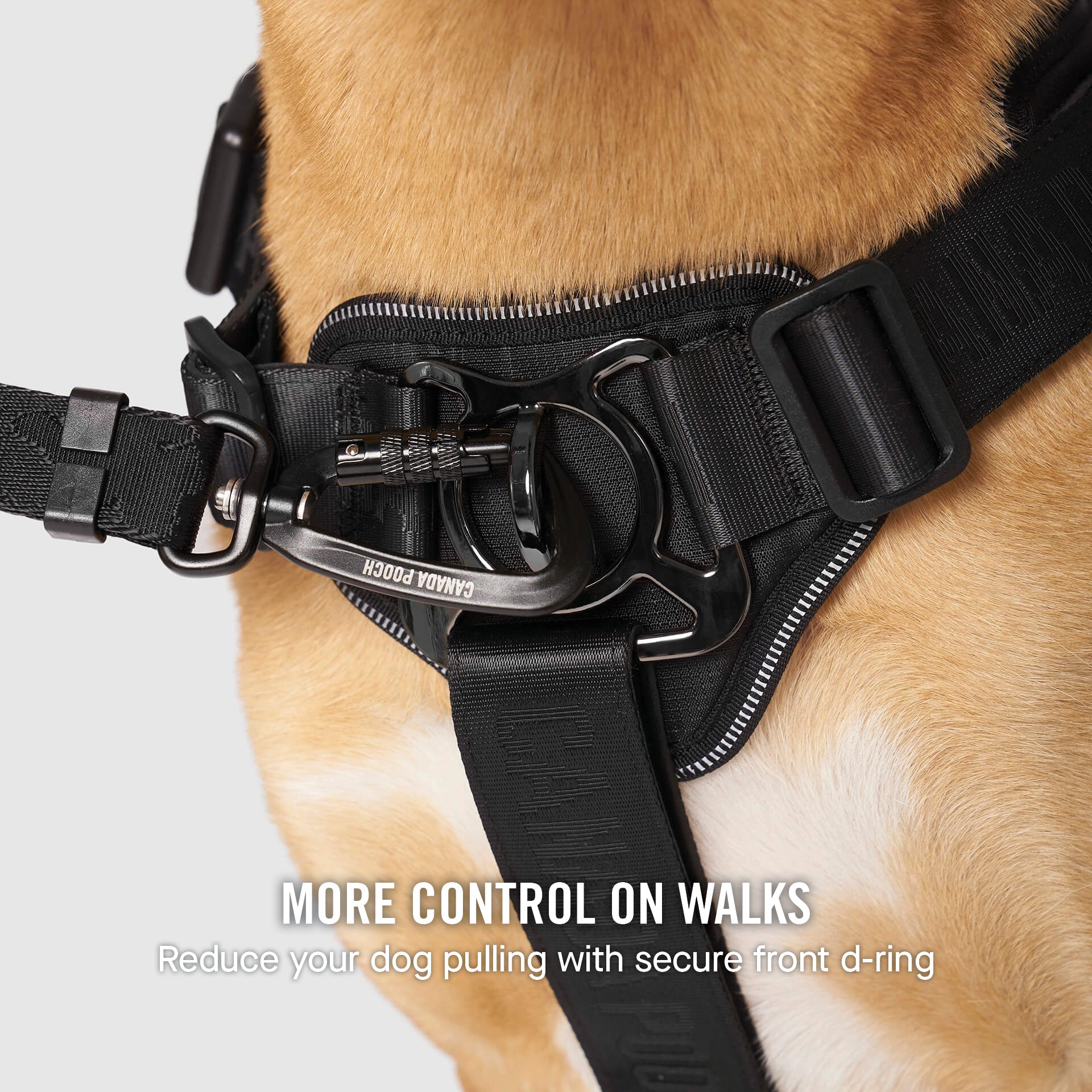 Complete Control Harness - Image 29