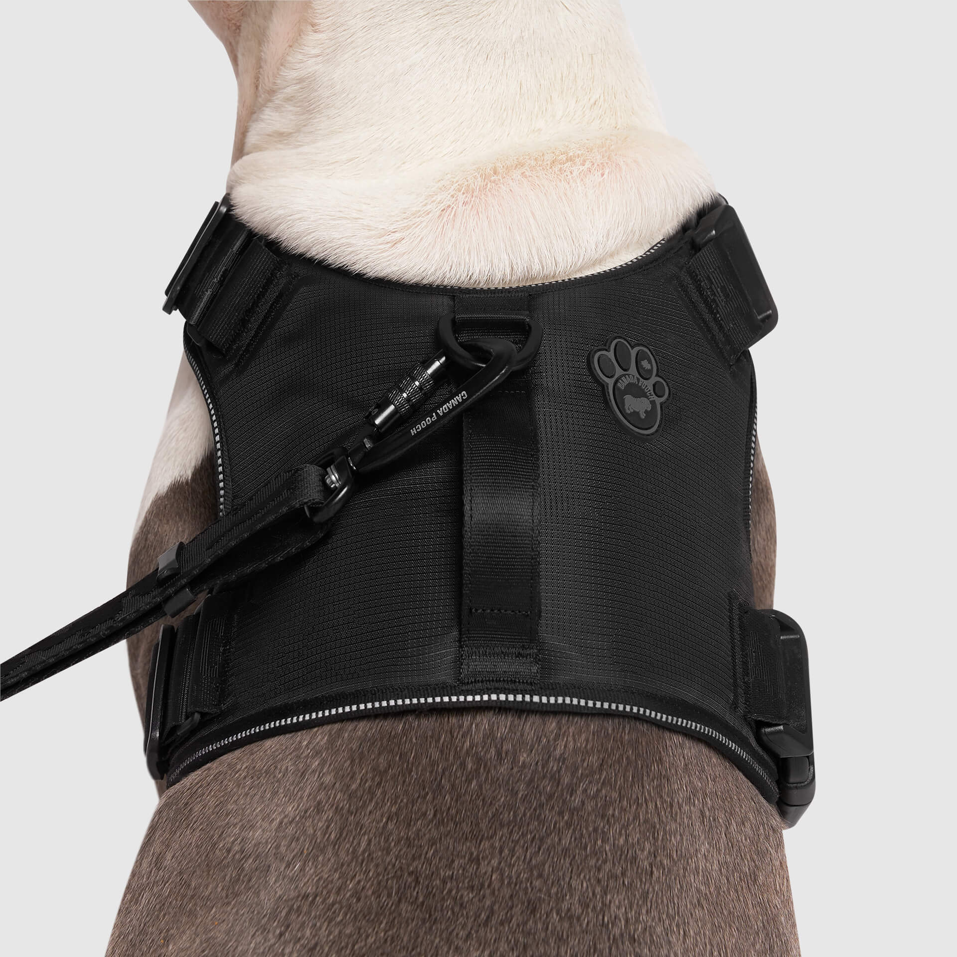 Complete Control Harness - Image 3