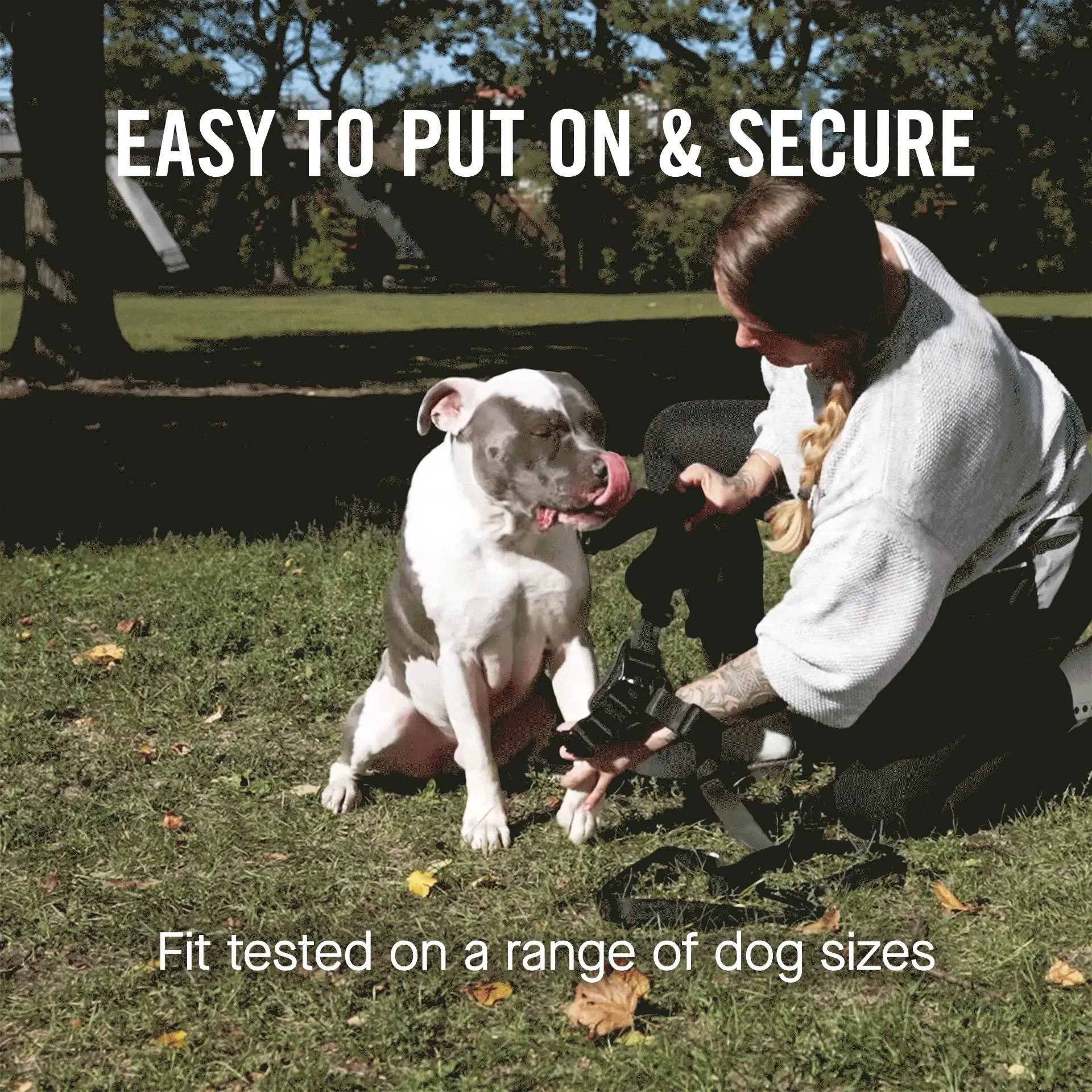 Complete Control Harness - Image 34