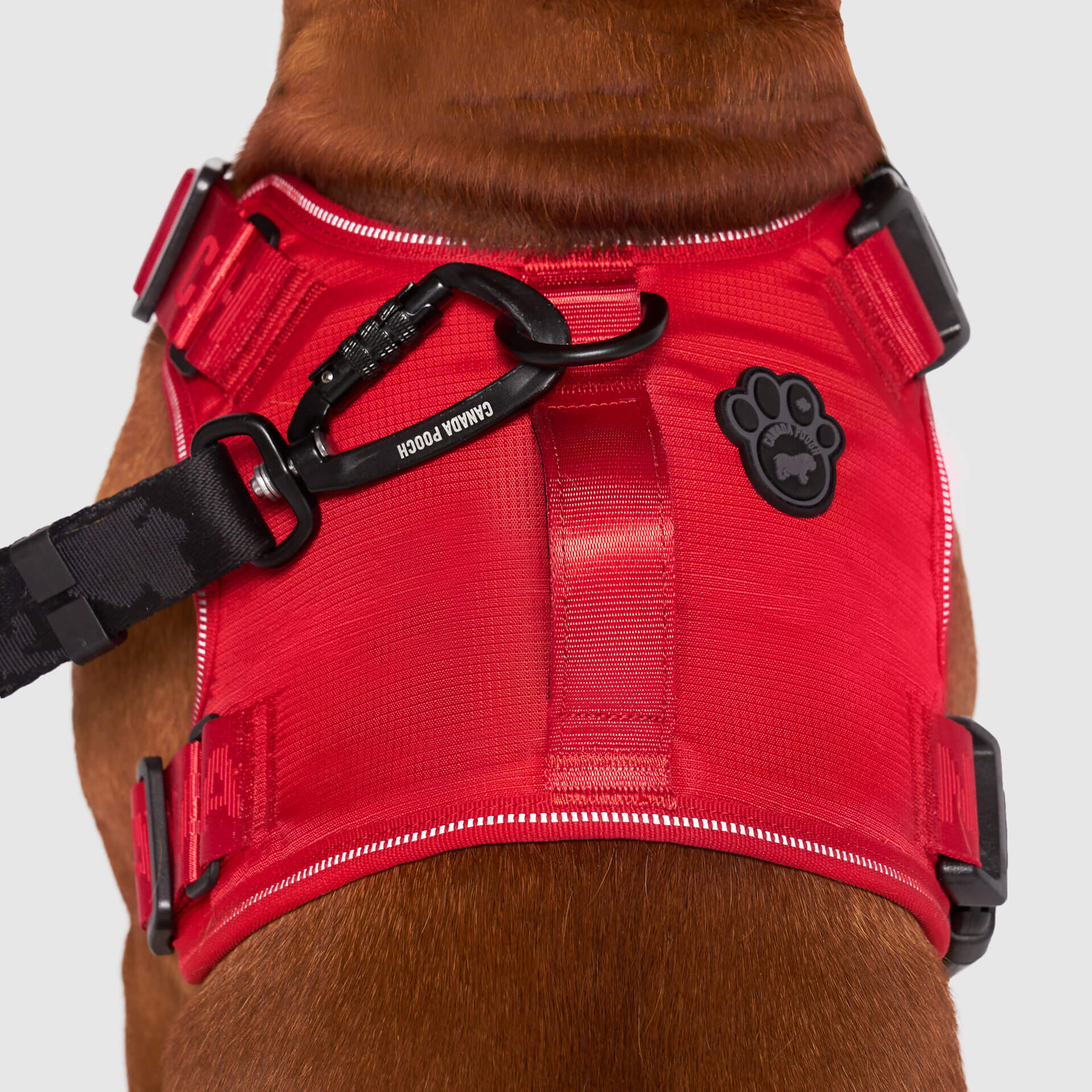 Complete Control Harness - Image 38