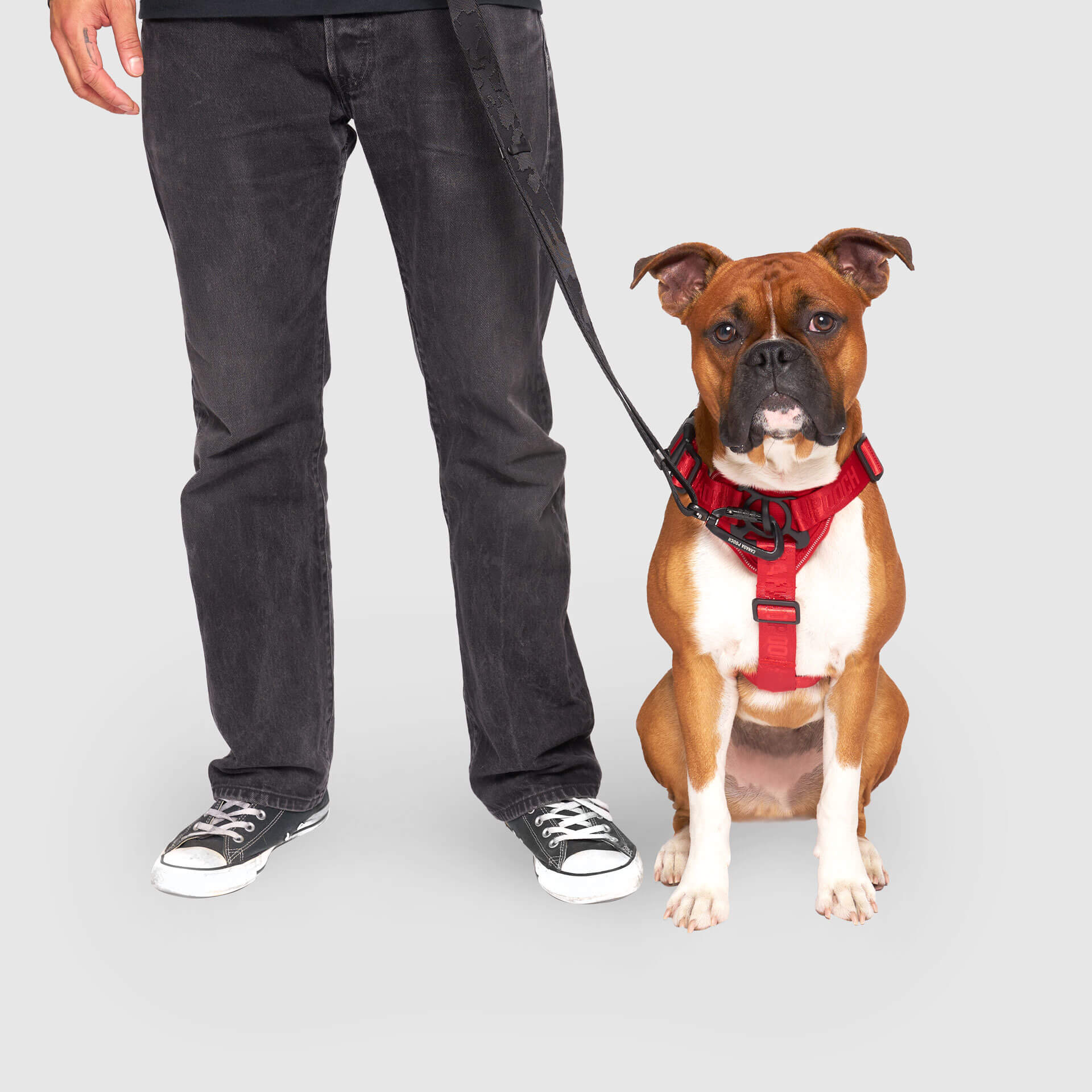 Complete Control Harness - Image 42