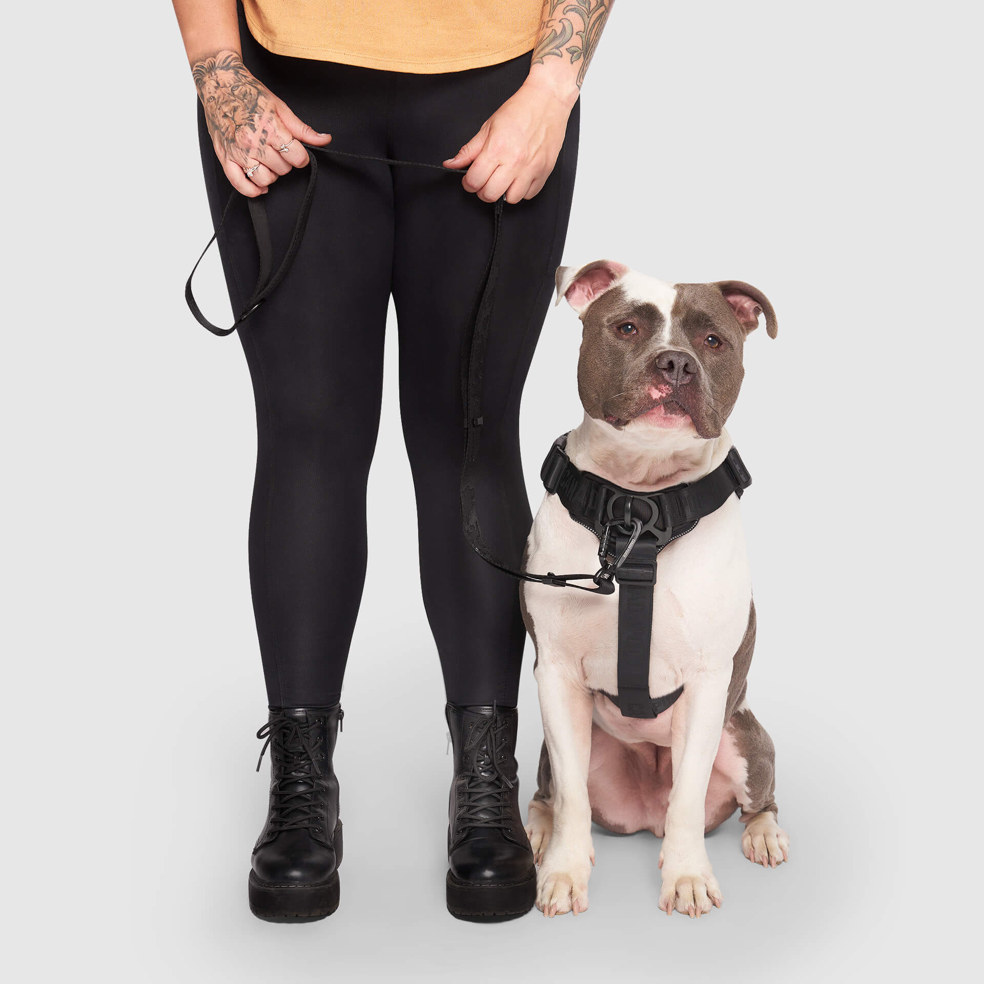 Complete Control Harness - Image 9