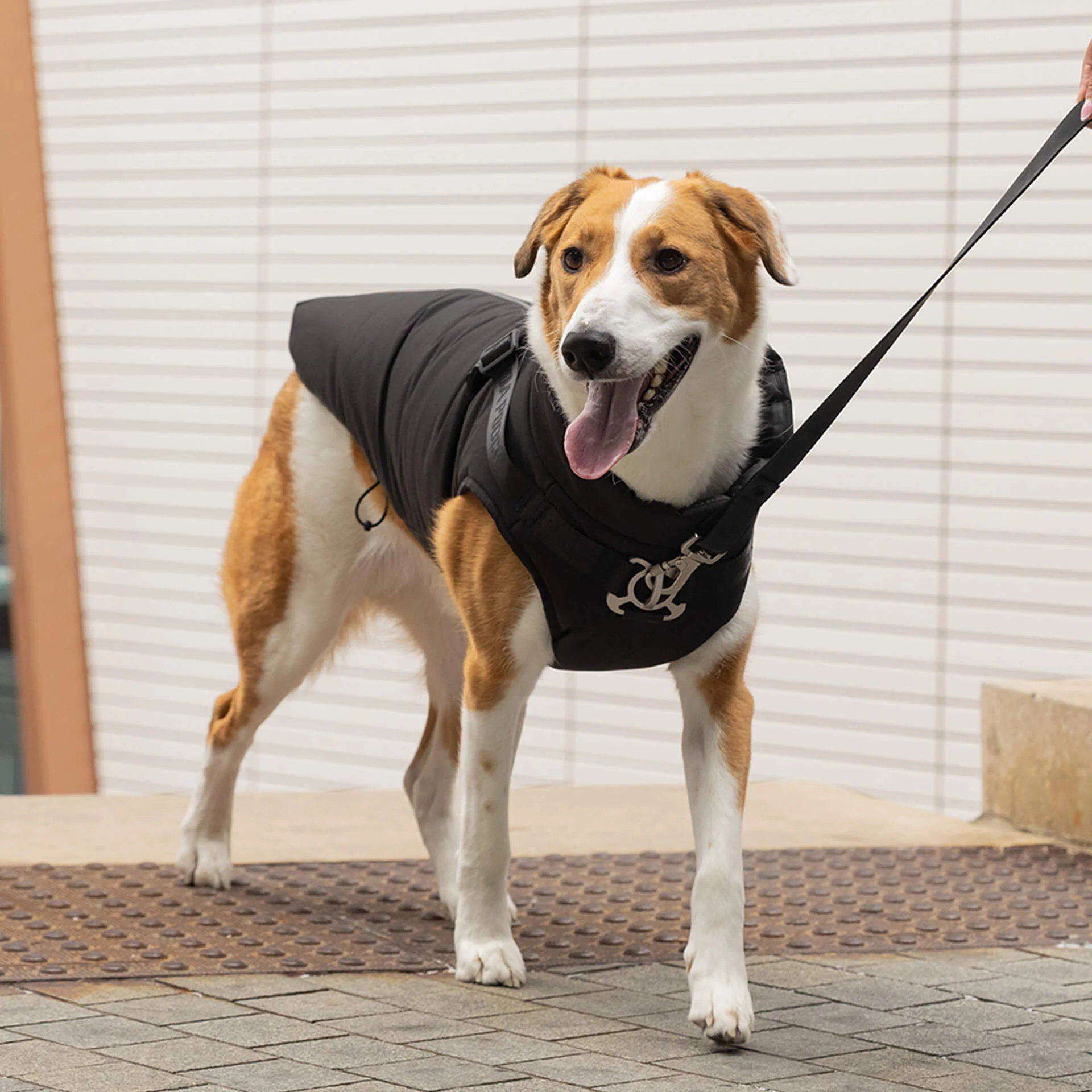 Complete Control Harness Winter Jacket - Image 7