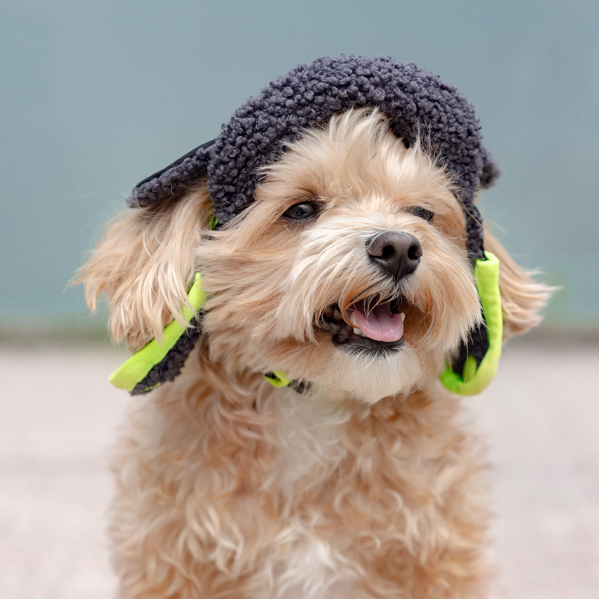 Cool Factor Aviator Hat - Image 4