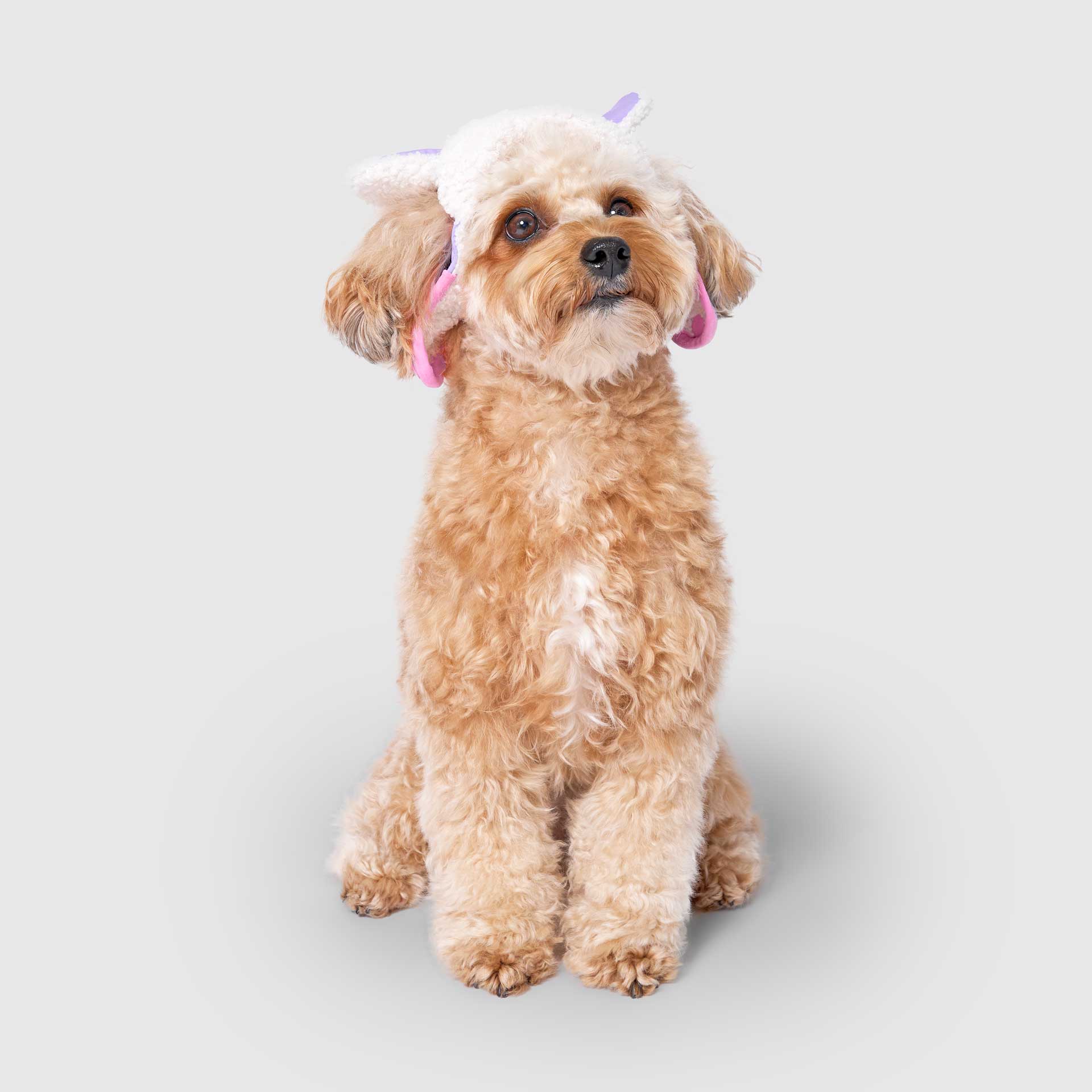 Cool Factor Aviator Hat - Image 5