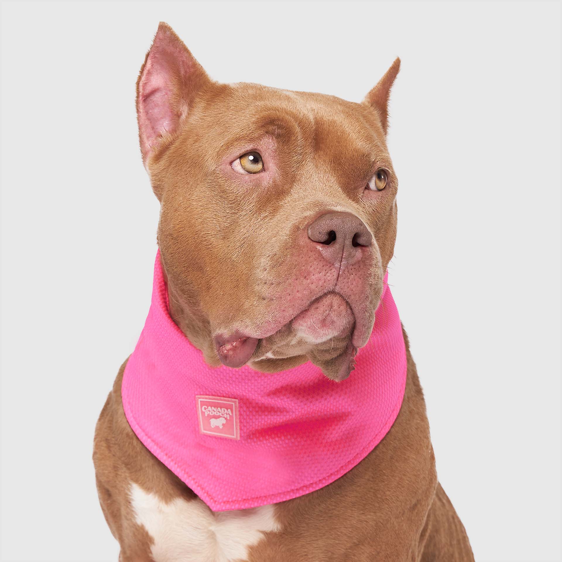 Cooling Bandana - Image 13