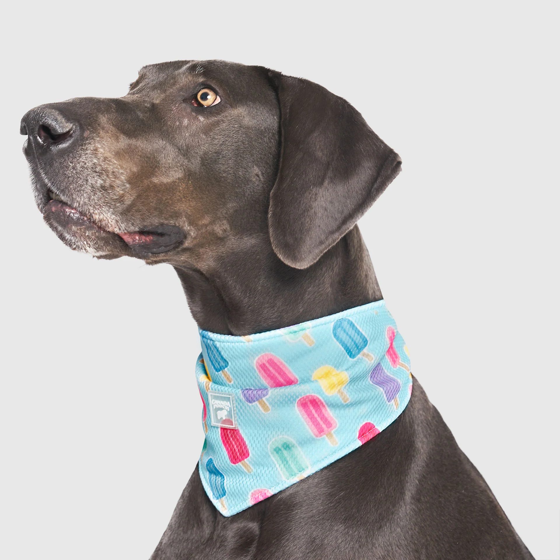 Cooling Bandana - Image 15