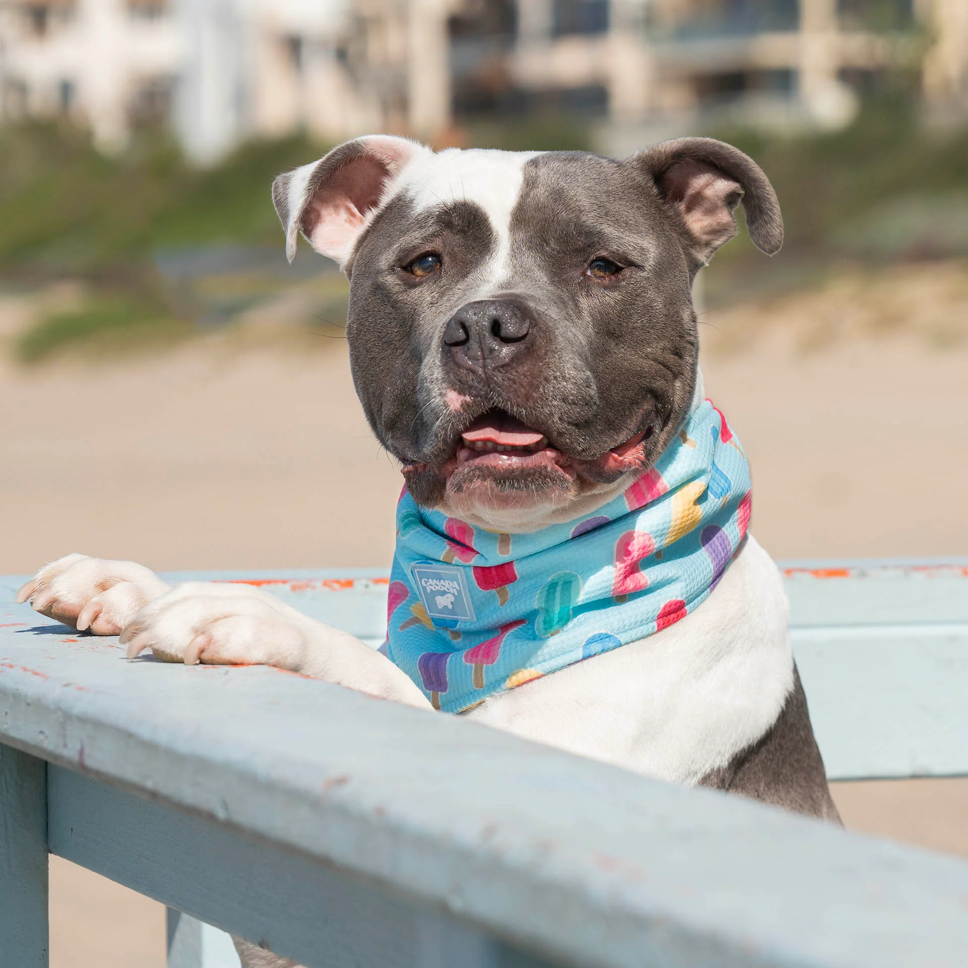 Cooling Bandana - Image 16