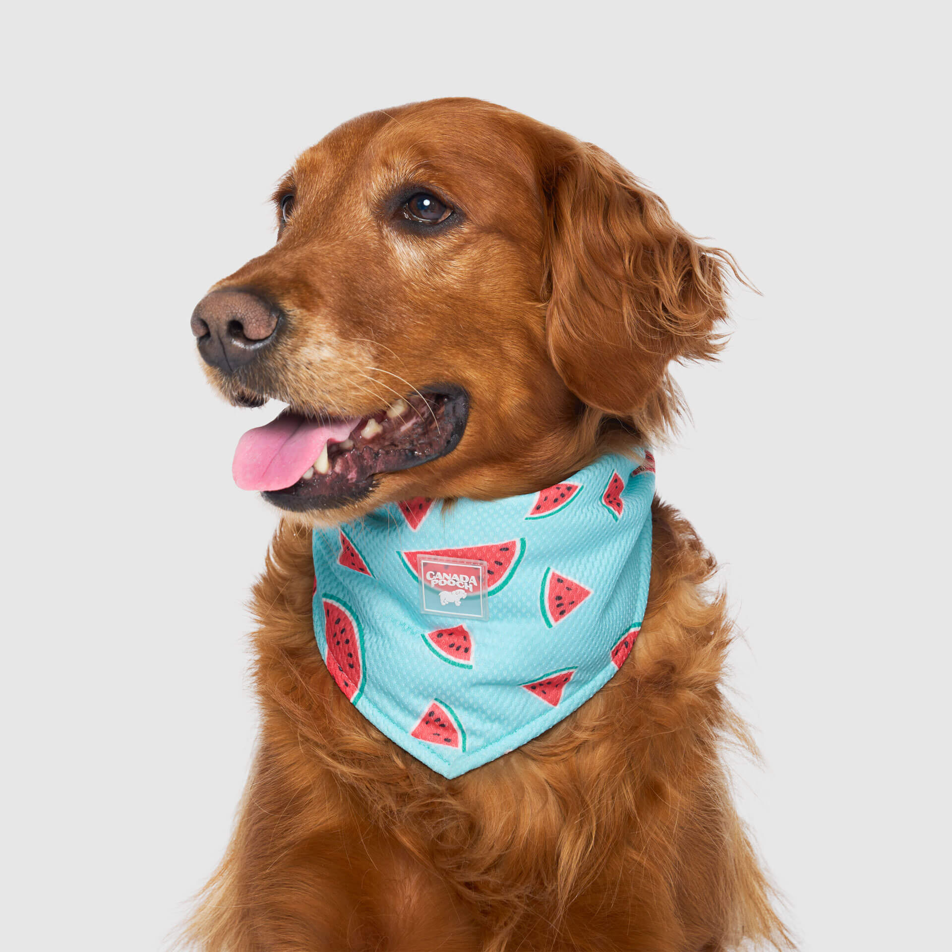 Cooling Bandana - Image 18