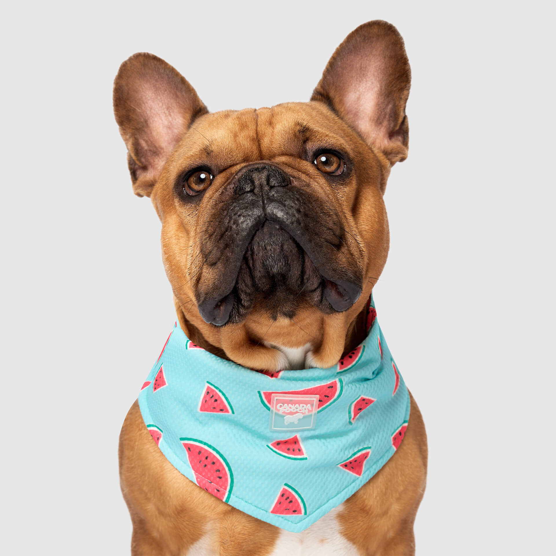Cooling Bandana - Image 19