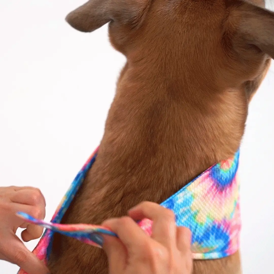 Cooling Bandana - Image 22