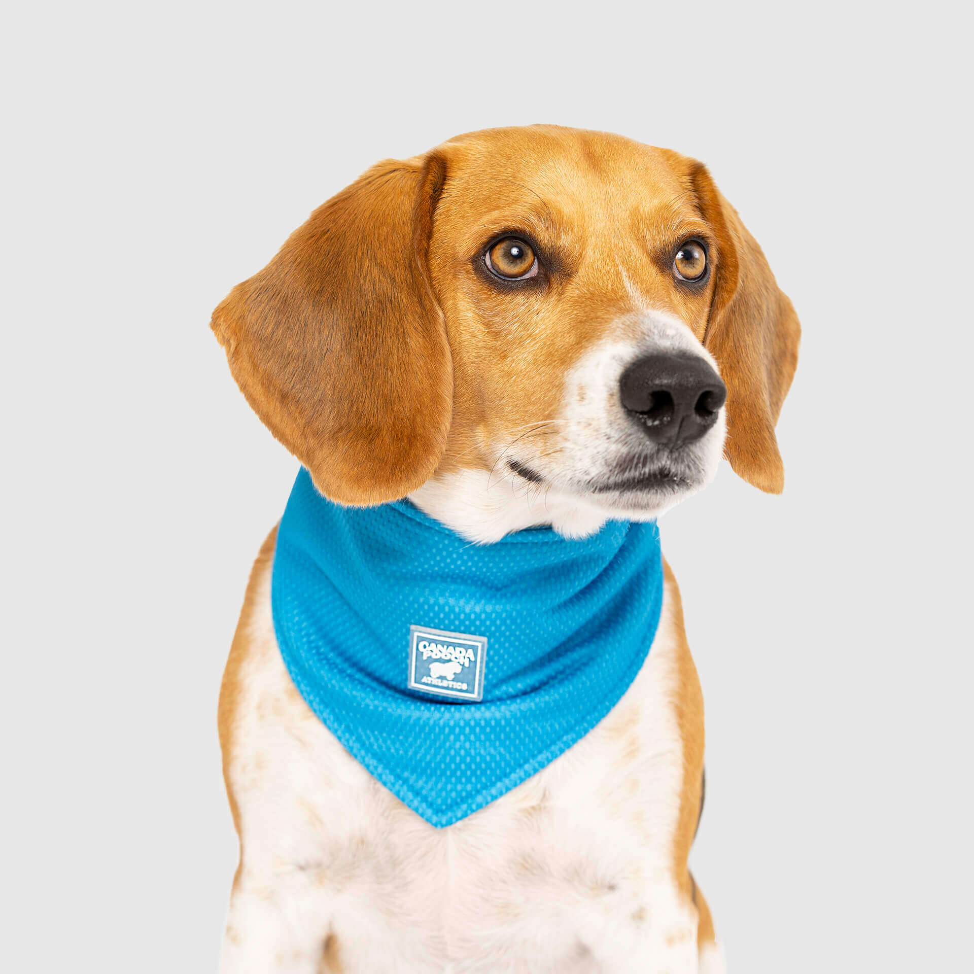 Cooling Bandana - Image 3