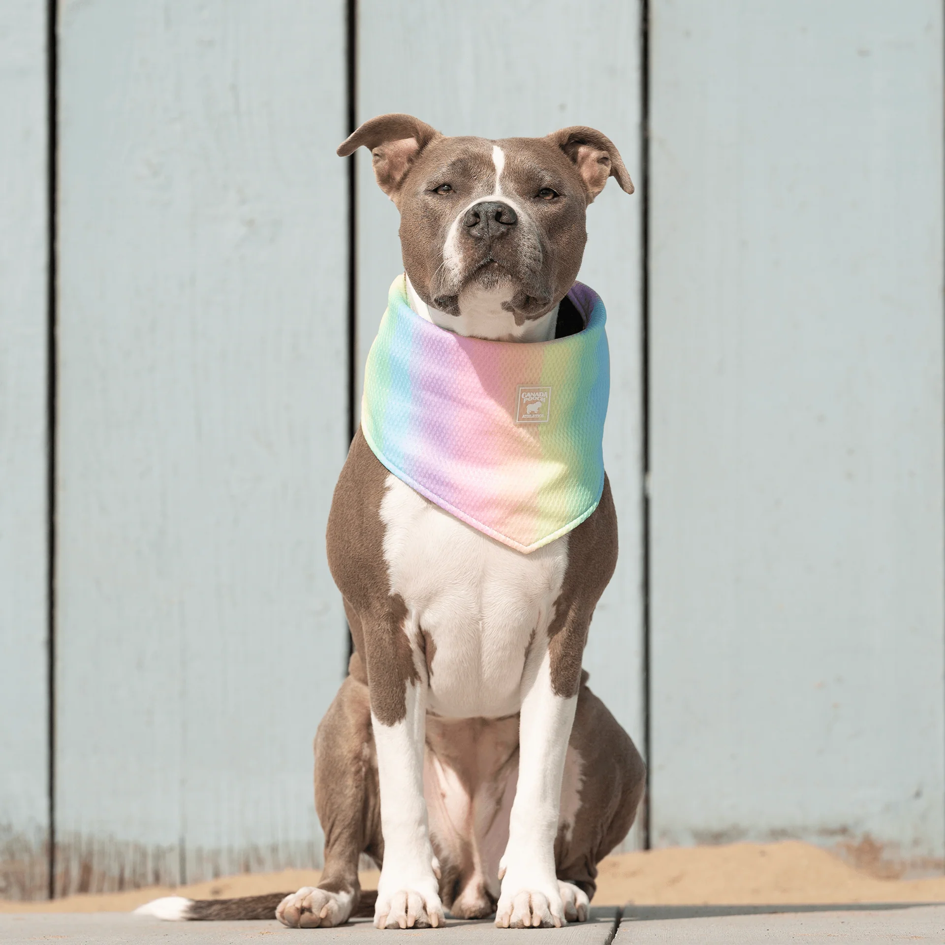 Cooling Bandana - Image 6