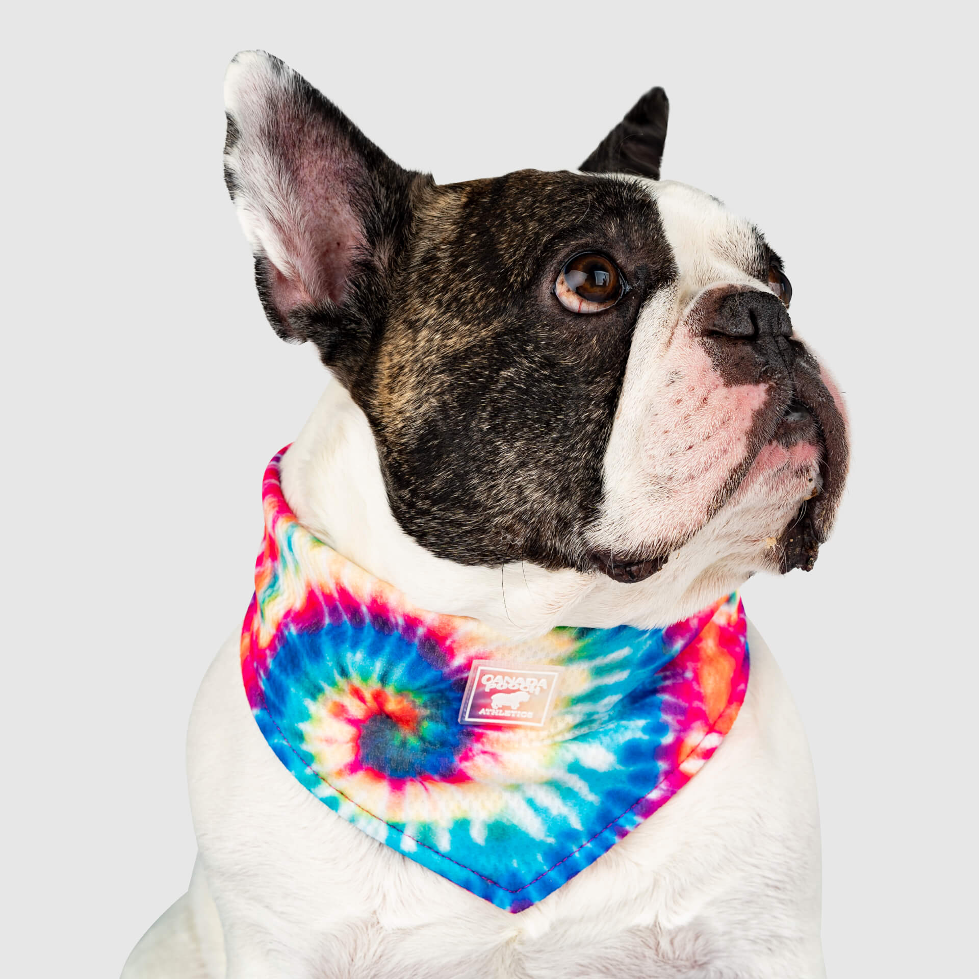 Cooling Bandana - Image 8