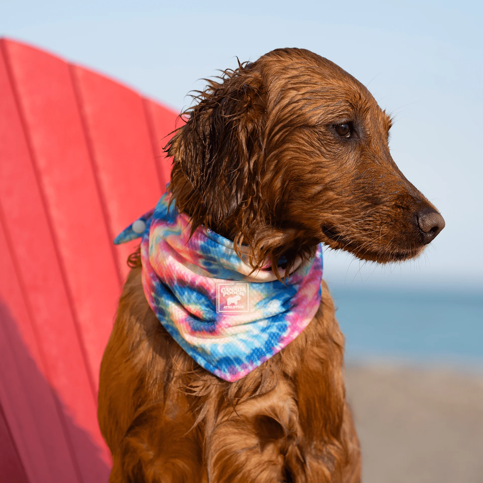 Cooling Bandana - Image 9