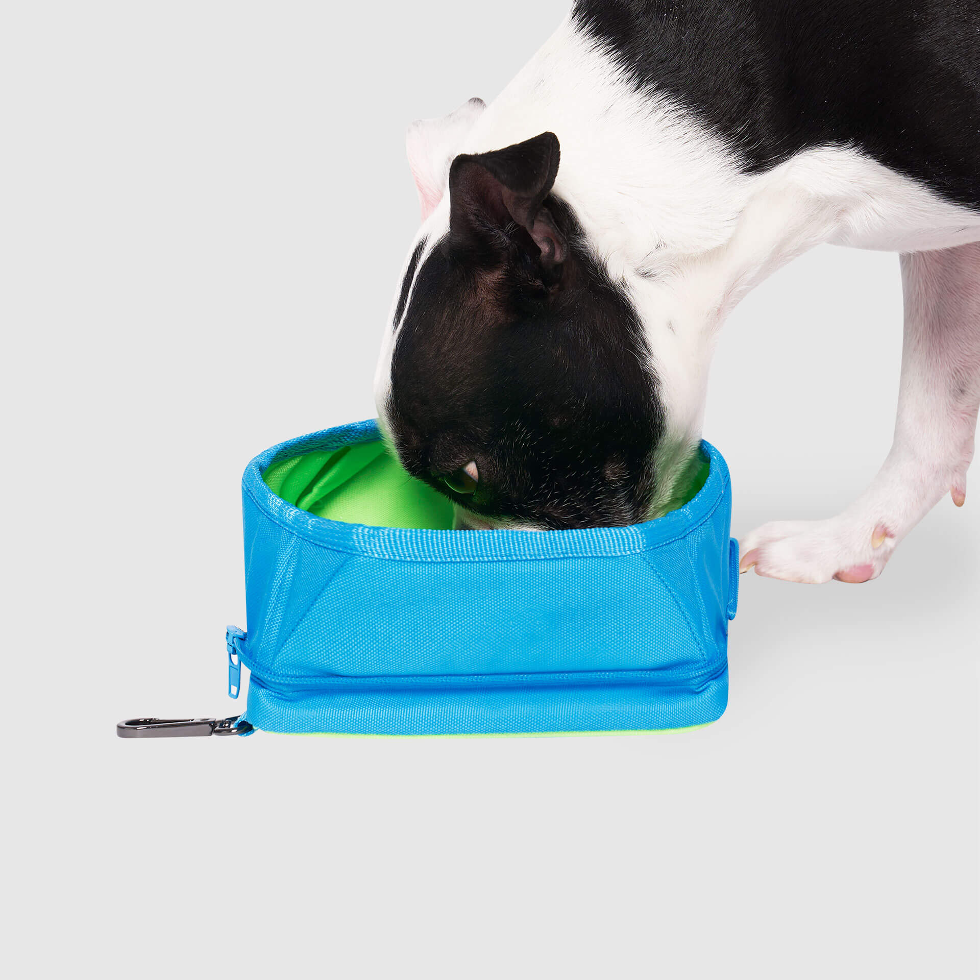 Chill Seeker Freeze-And-Go Water Bowl - Image 3