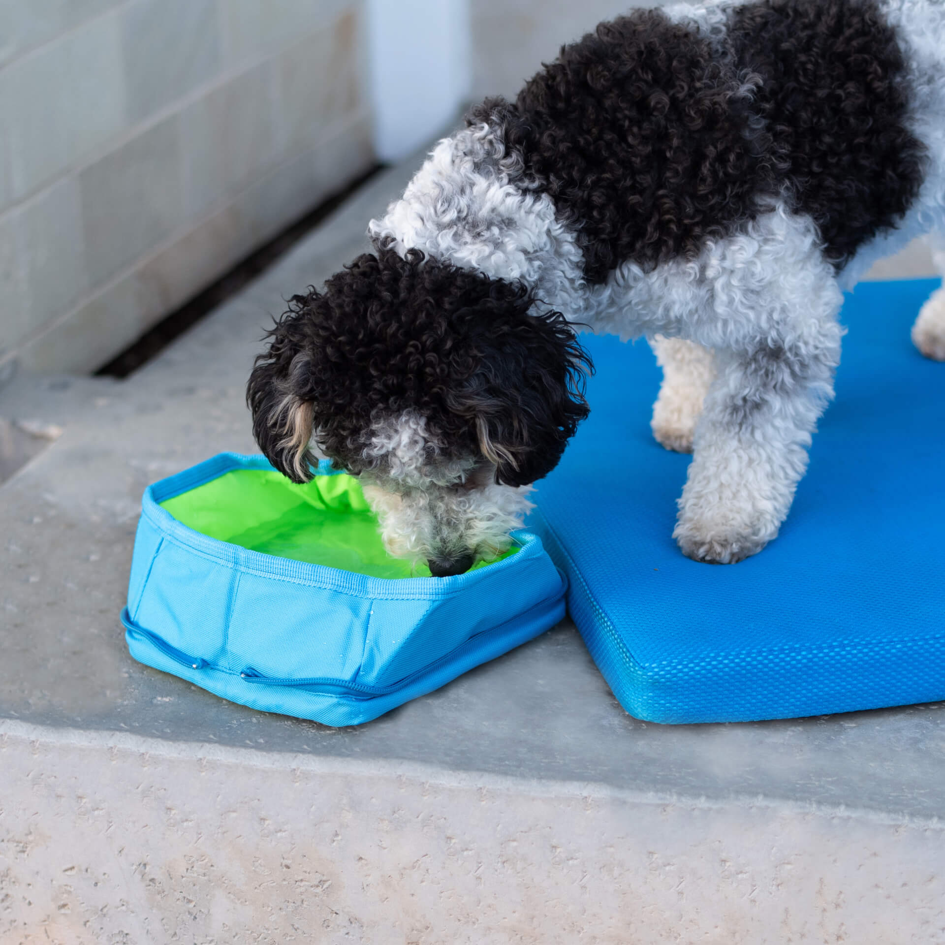 Chill Seeker Freeze-And-Go Water Bowl - Image 6