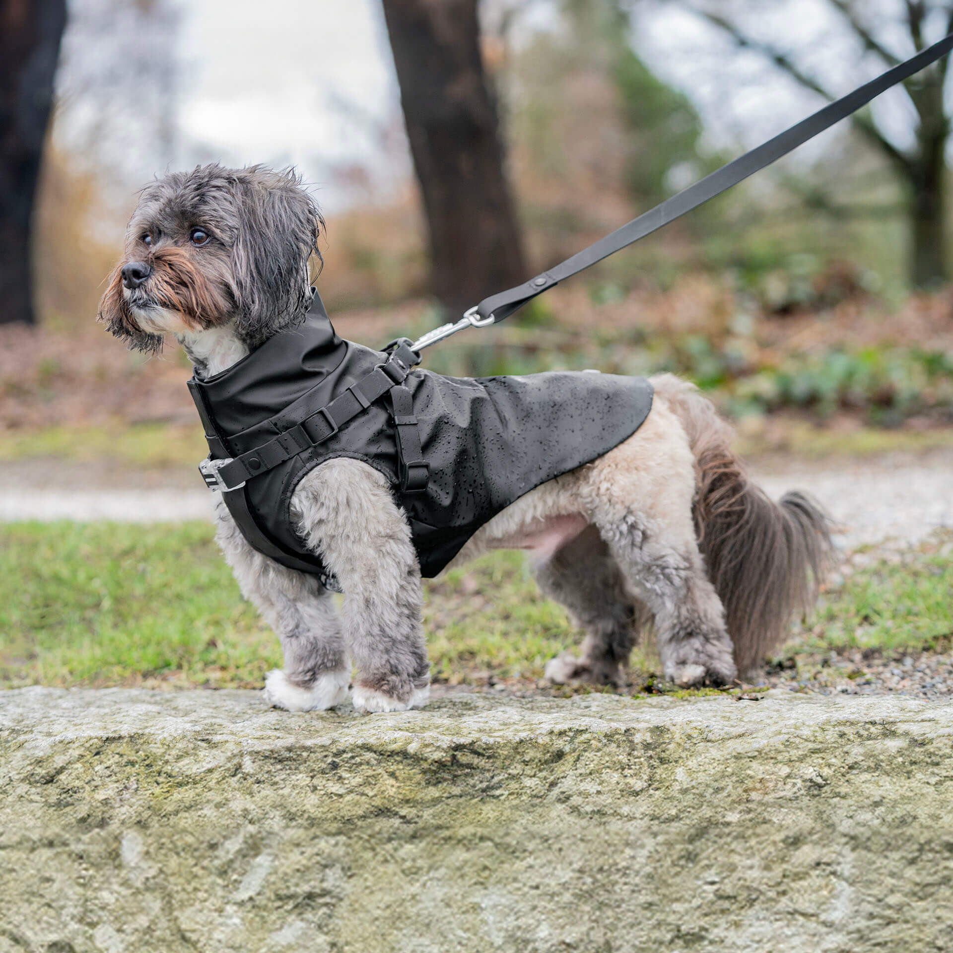 Harness Raincoat - Image 15