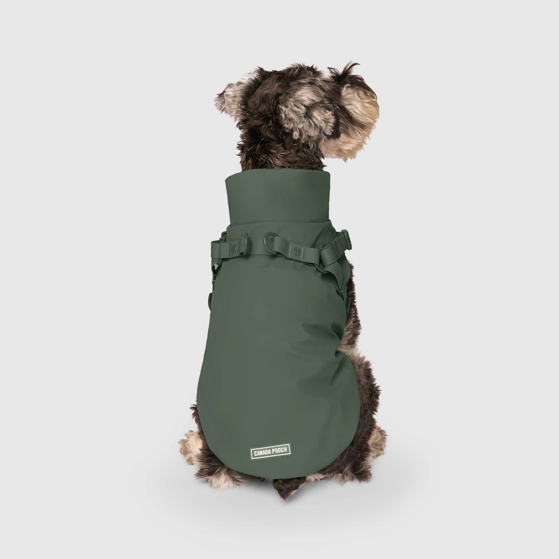 Harness Raincoat - Image 19