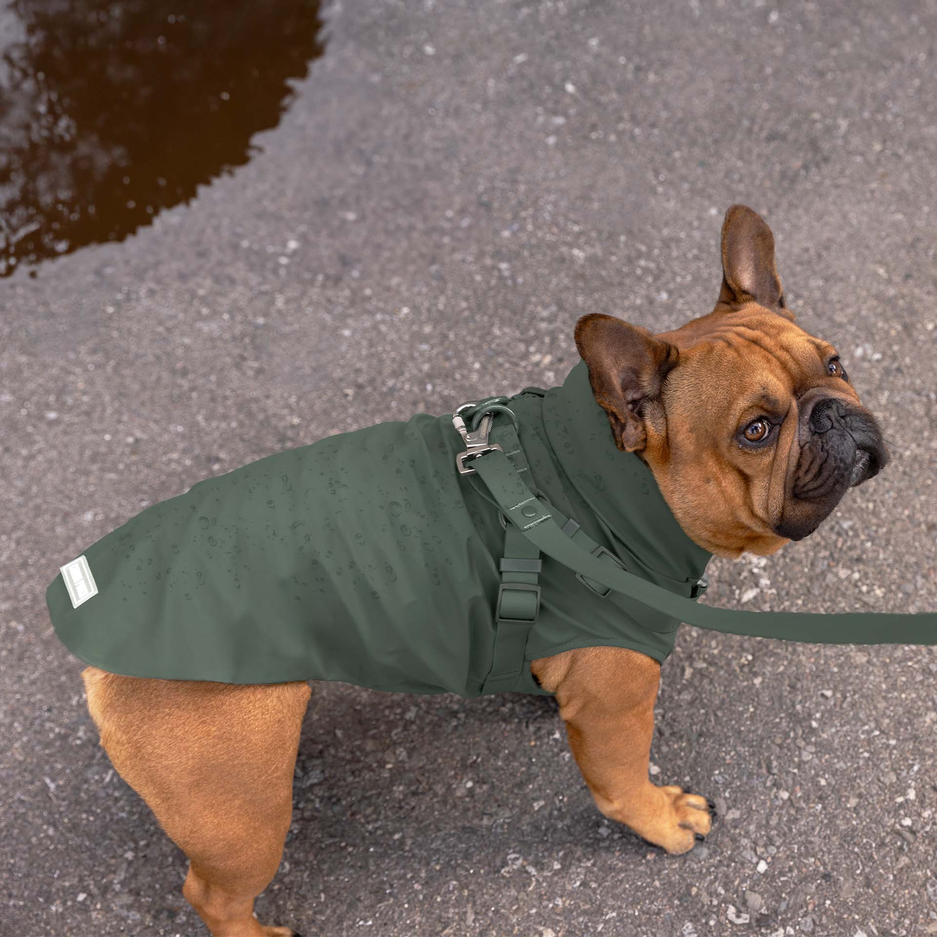 Harness Raincoat - Image 21