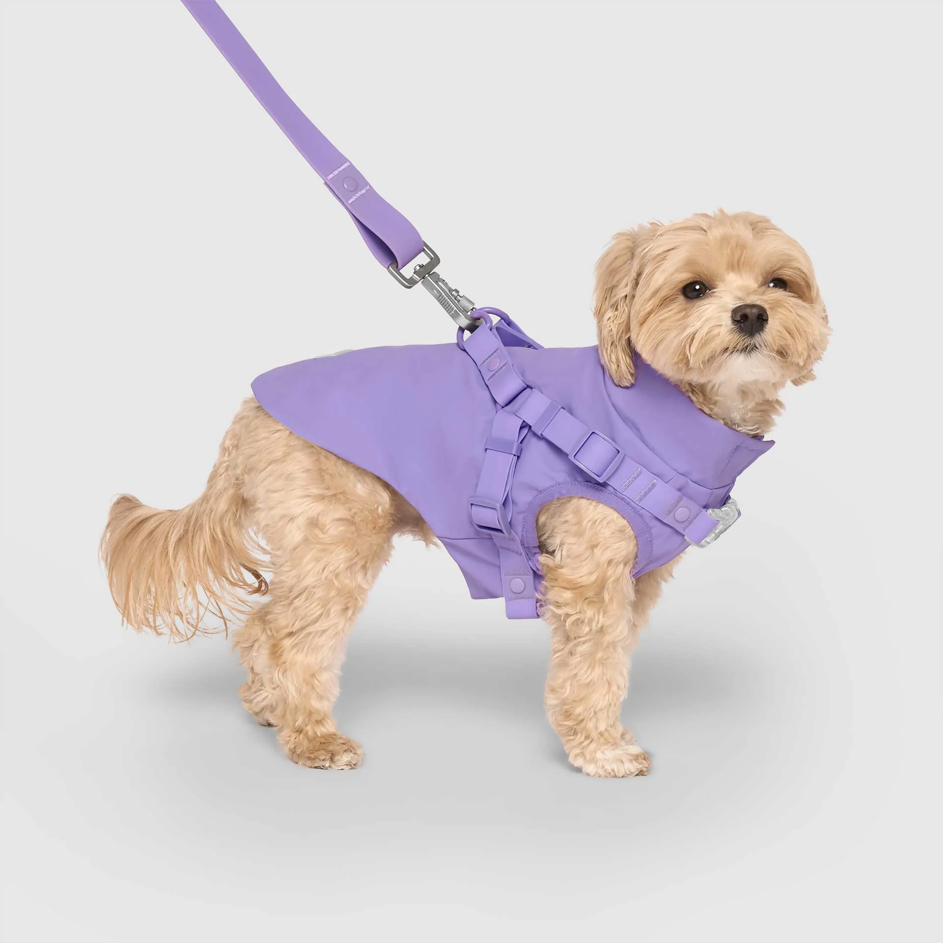 Harness Raincoat - Image 22