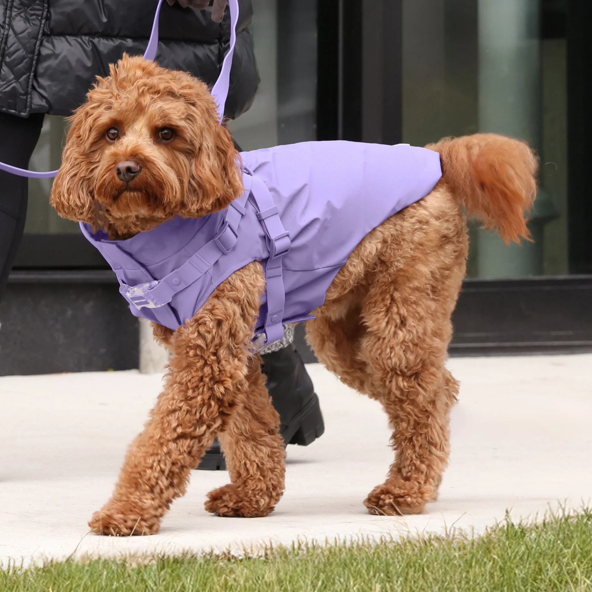 Harness Raincoat - Image 28