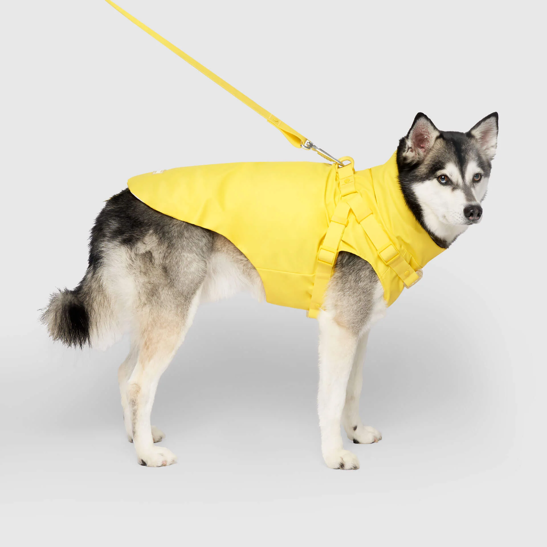Harness Raincoat - Image 3