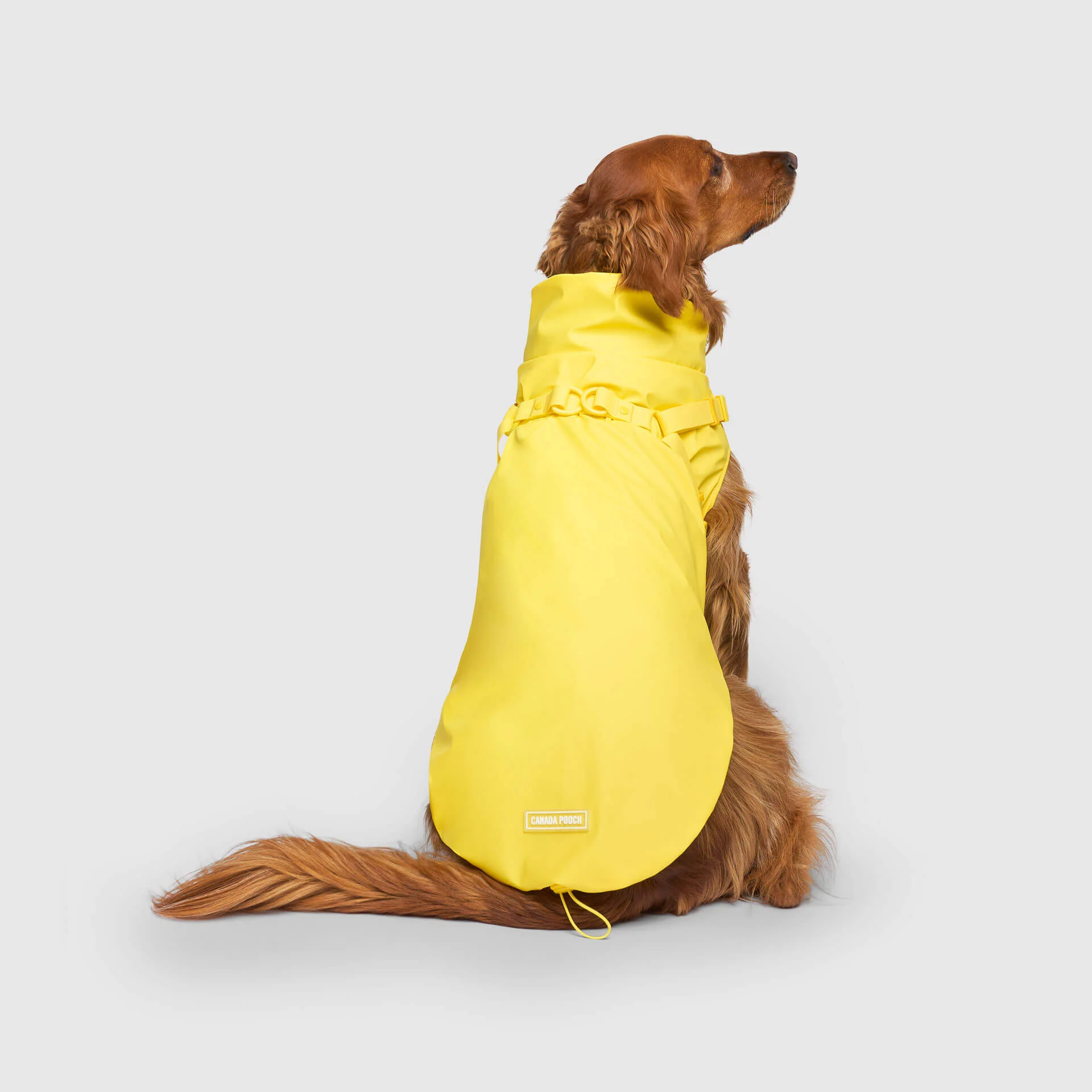 Harness Raincoat - Image 7