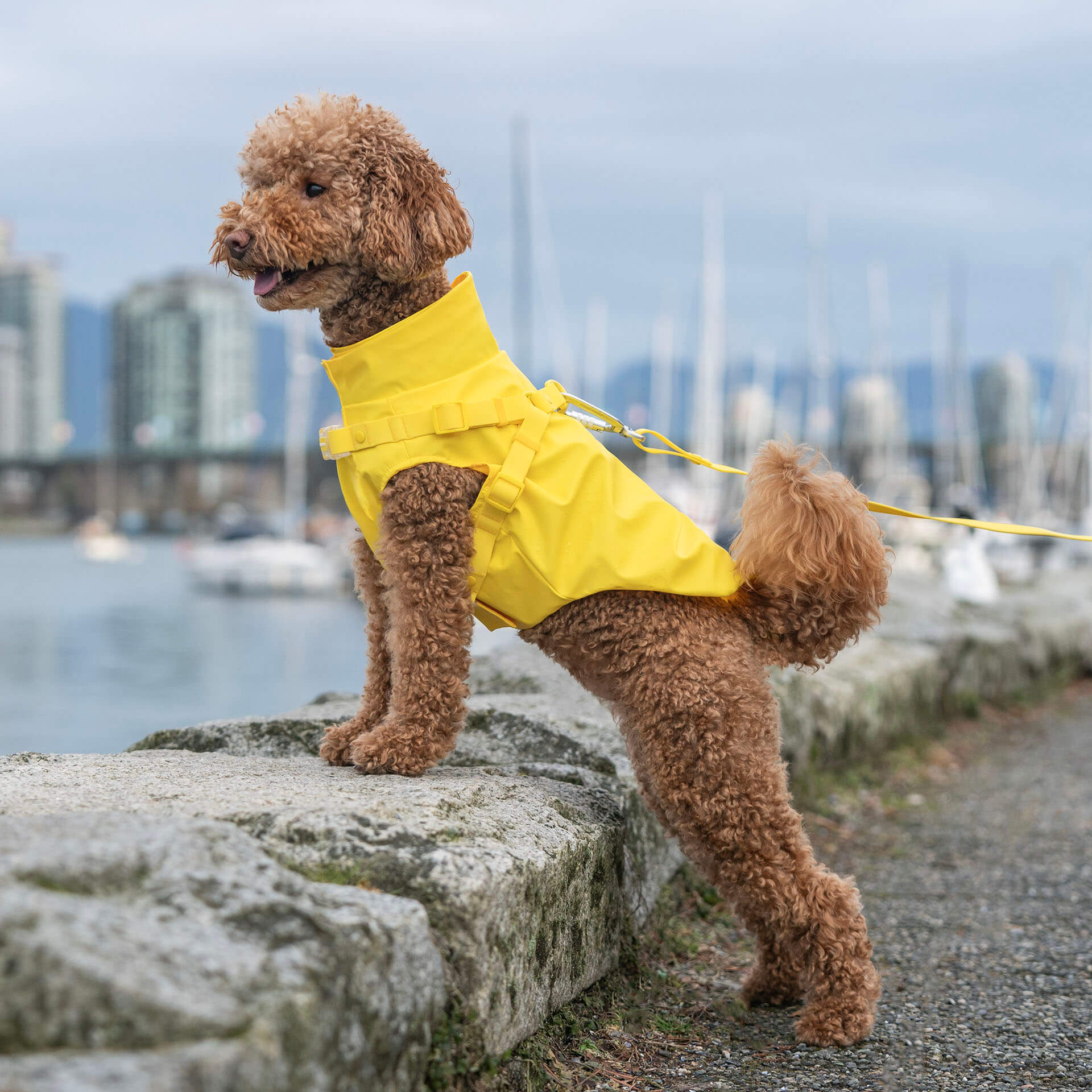 Harness Raincoat - Image 9