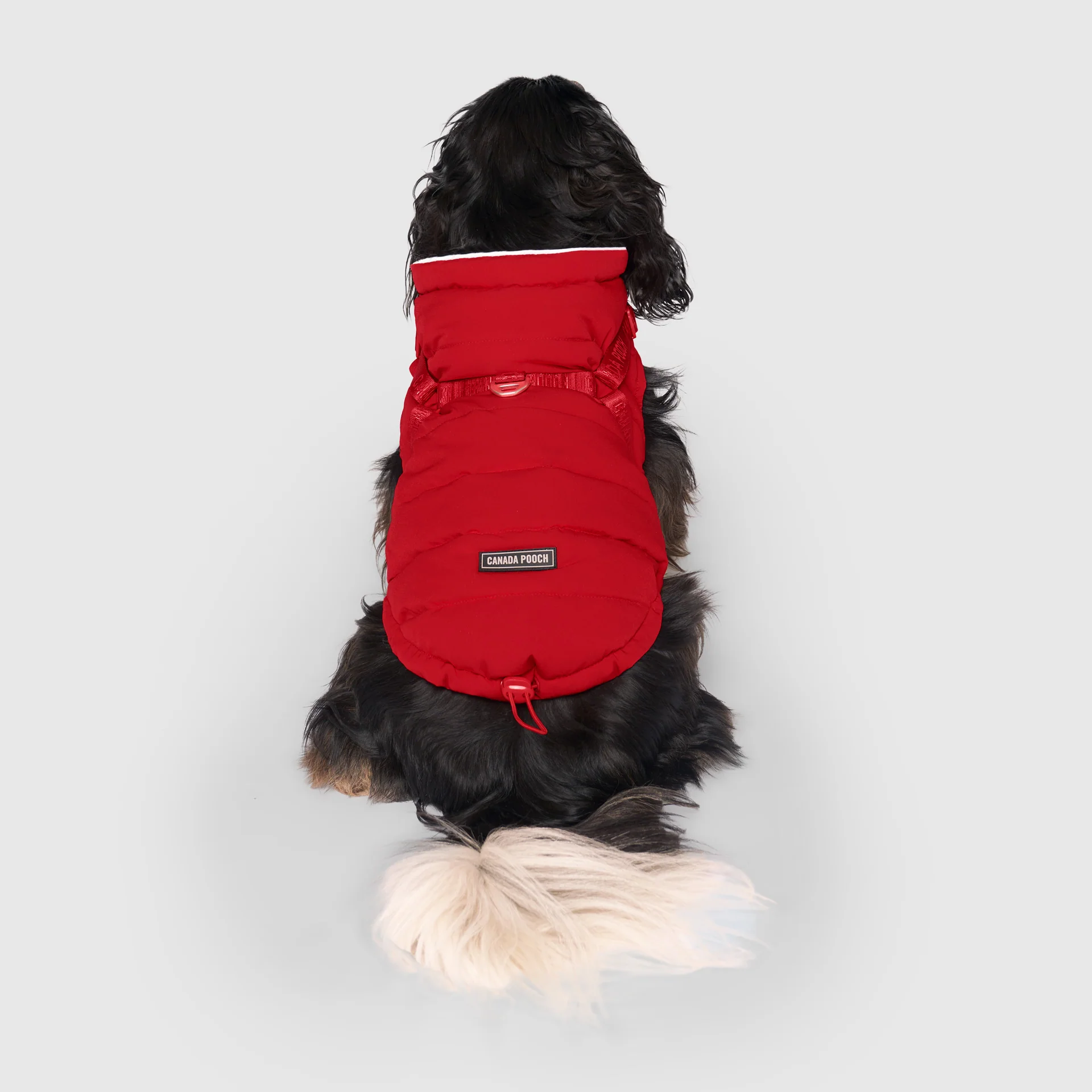 Harness Puffer - Image 10