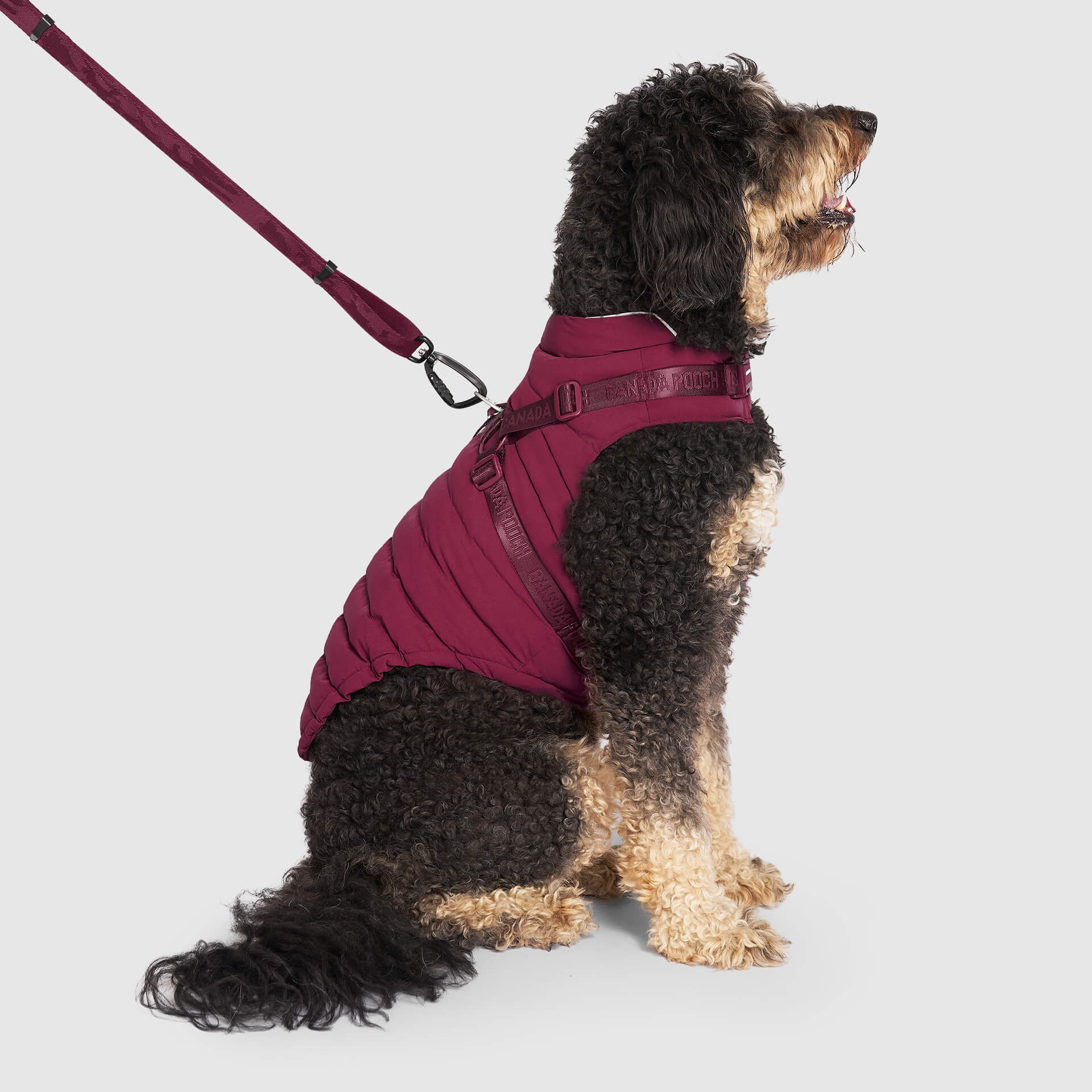 Harness Puffer - Image 13